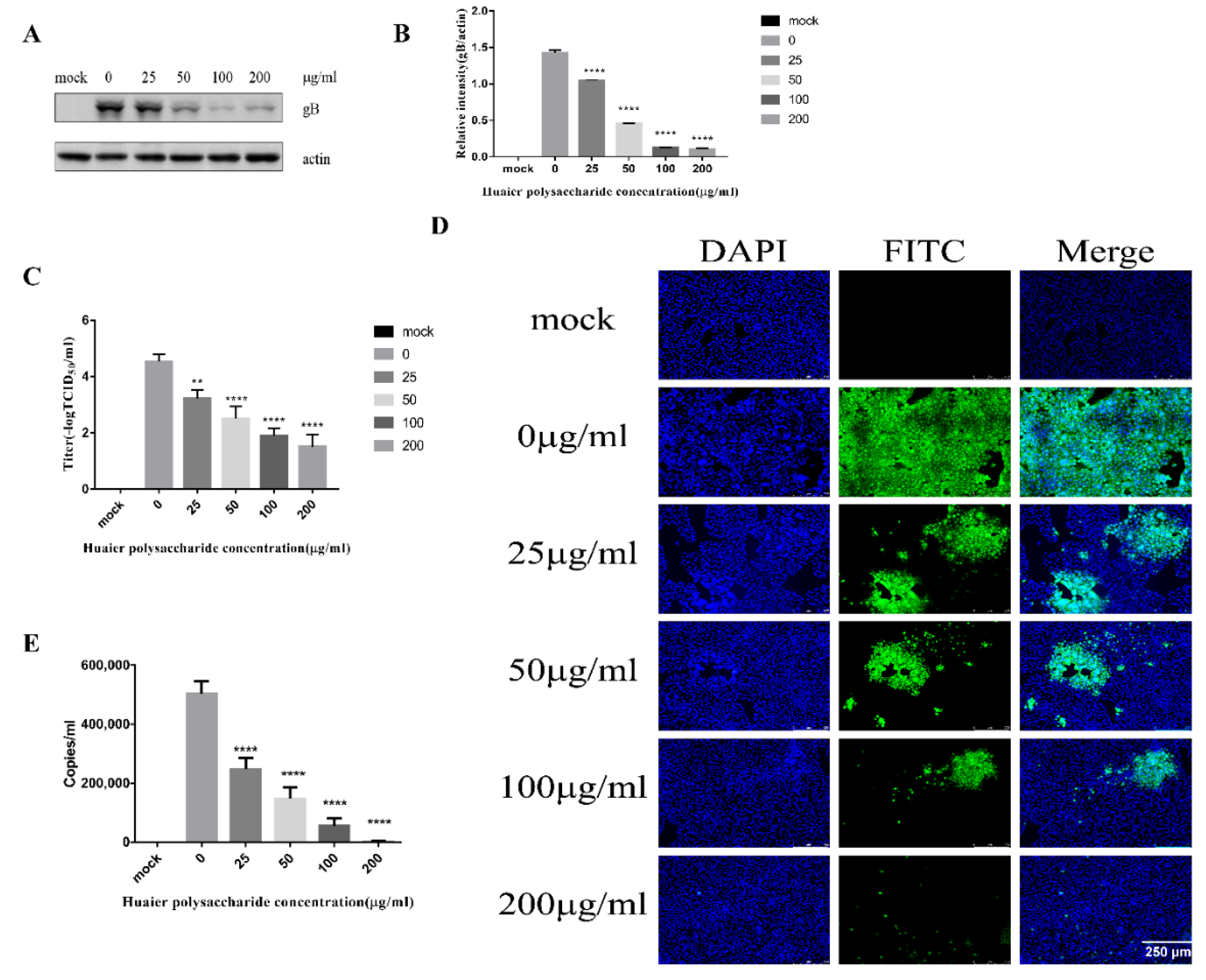 Viruses 14 00745 g003
