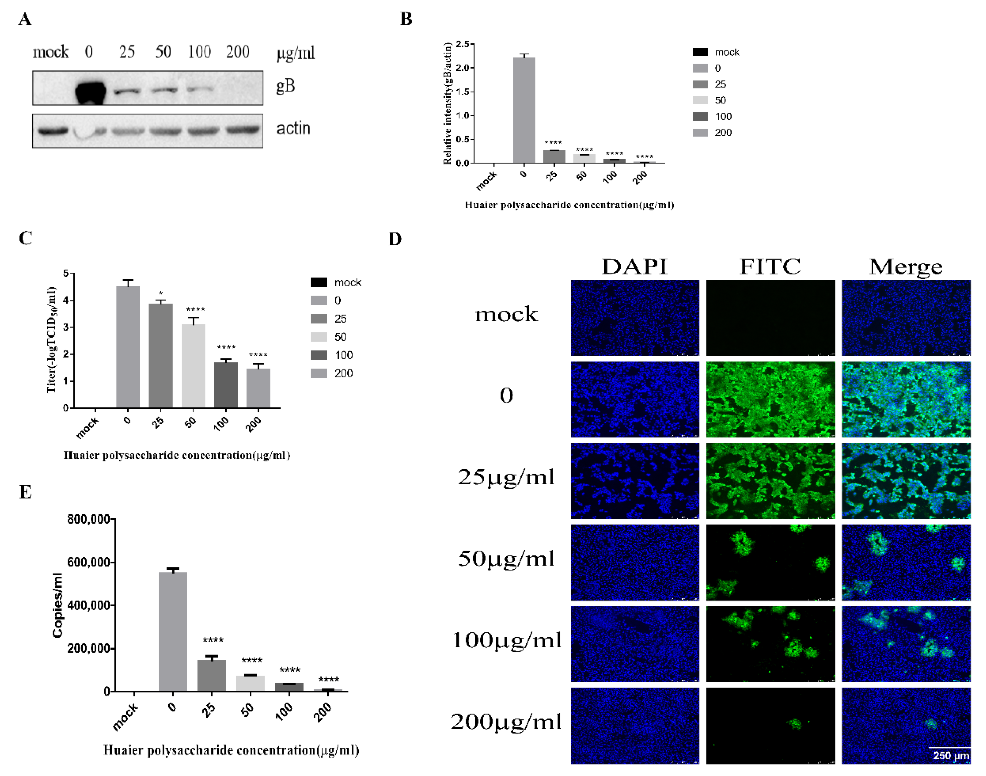 Viruses 14 00745 g004