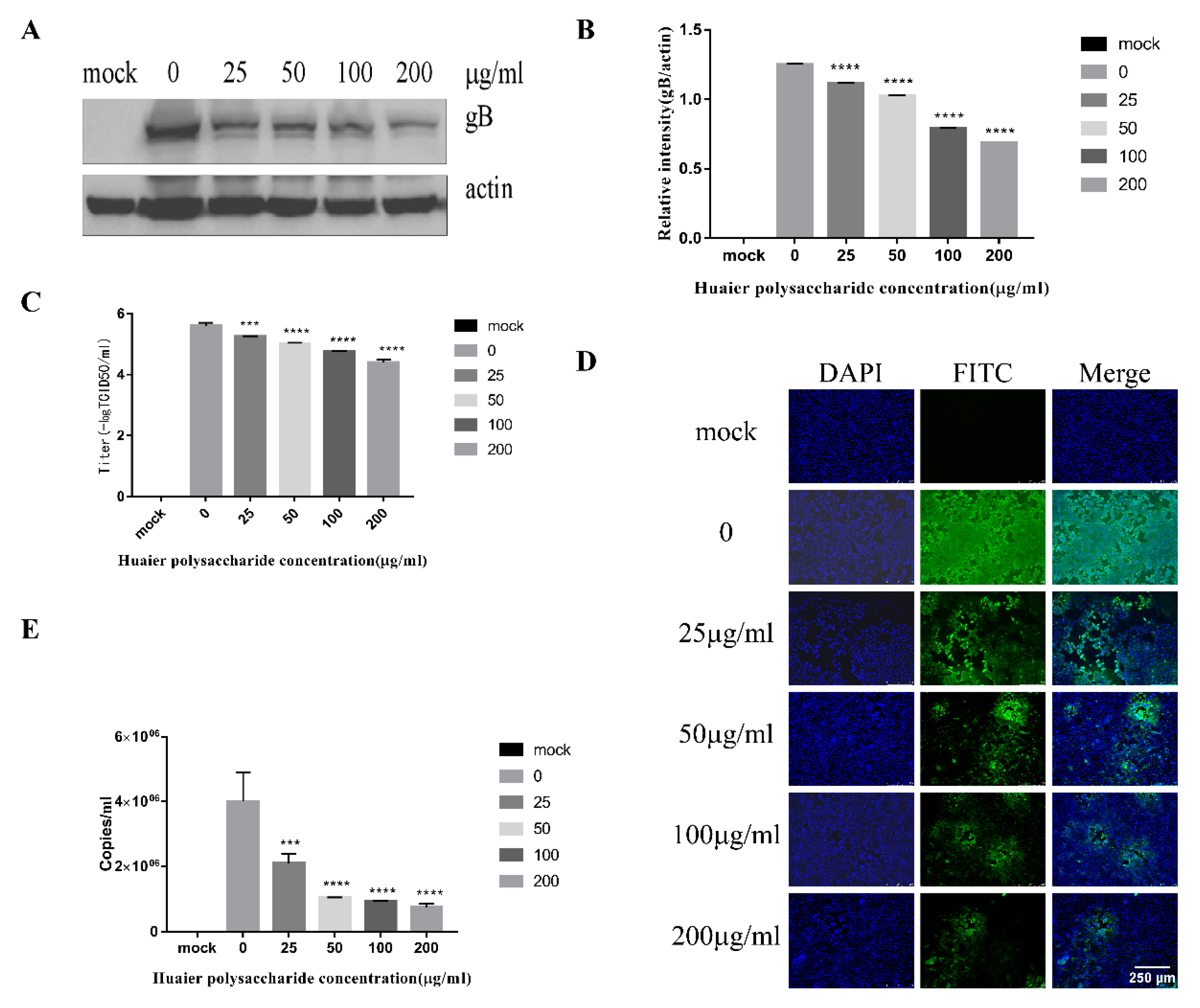 Viruses 14 00745 g005