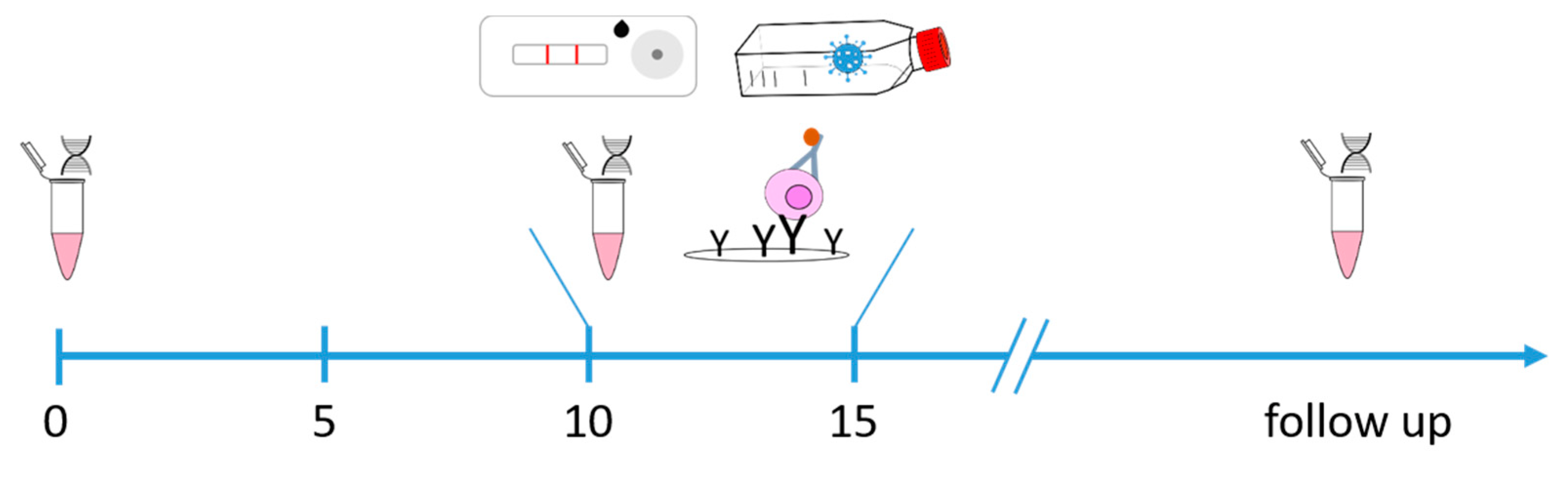 Viruses 14 00746 g001 550