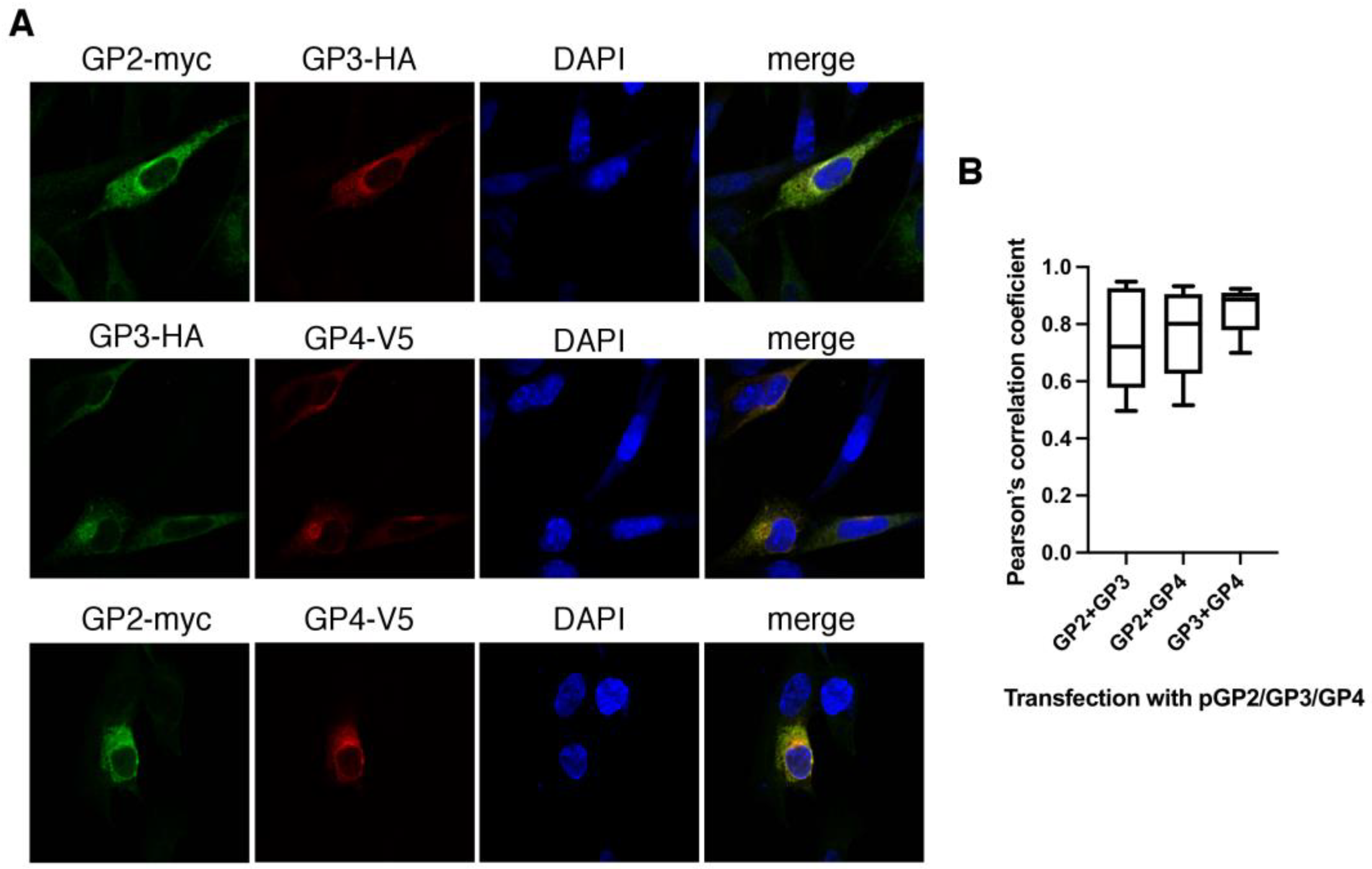 Viruses 14 00749 g005 550