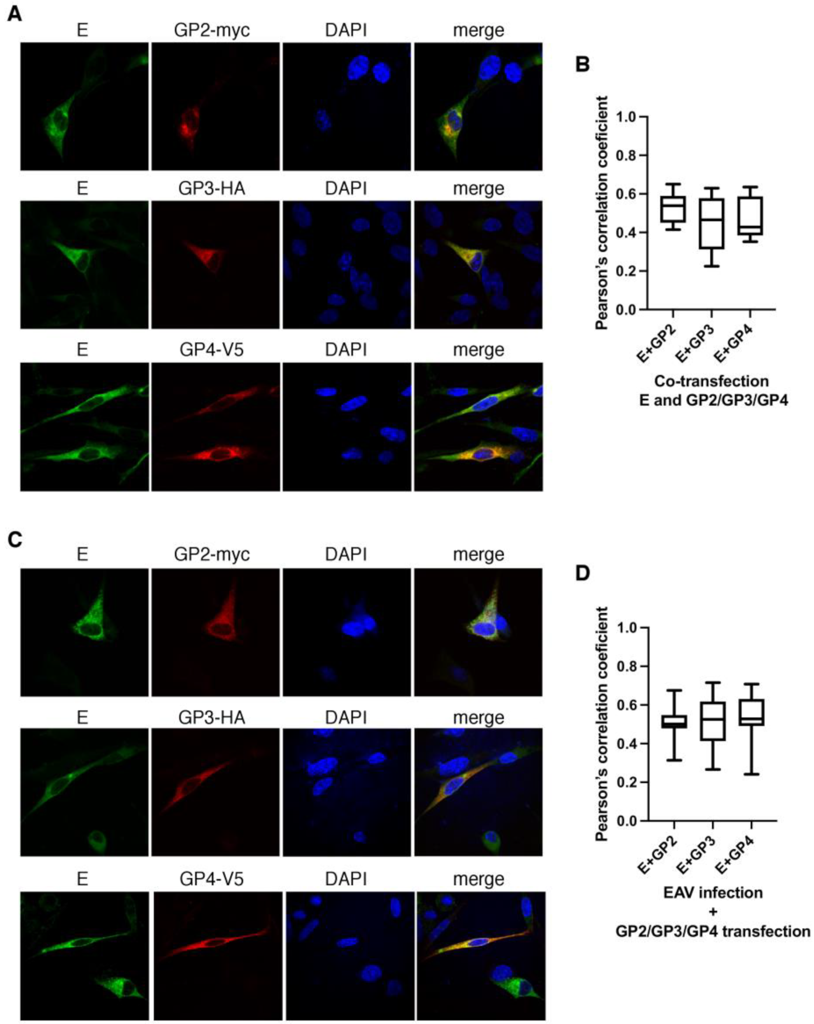 Viruses 14 00749 g006 550