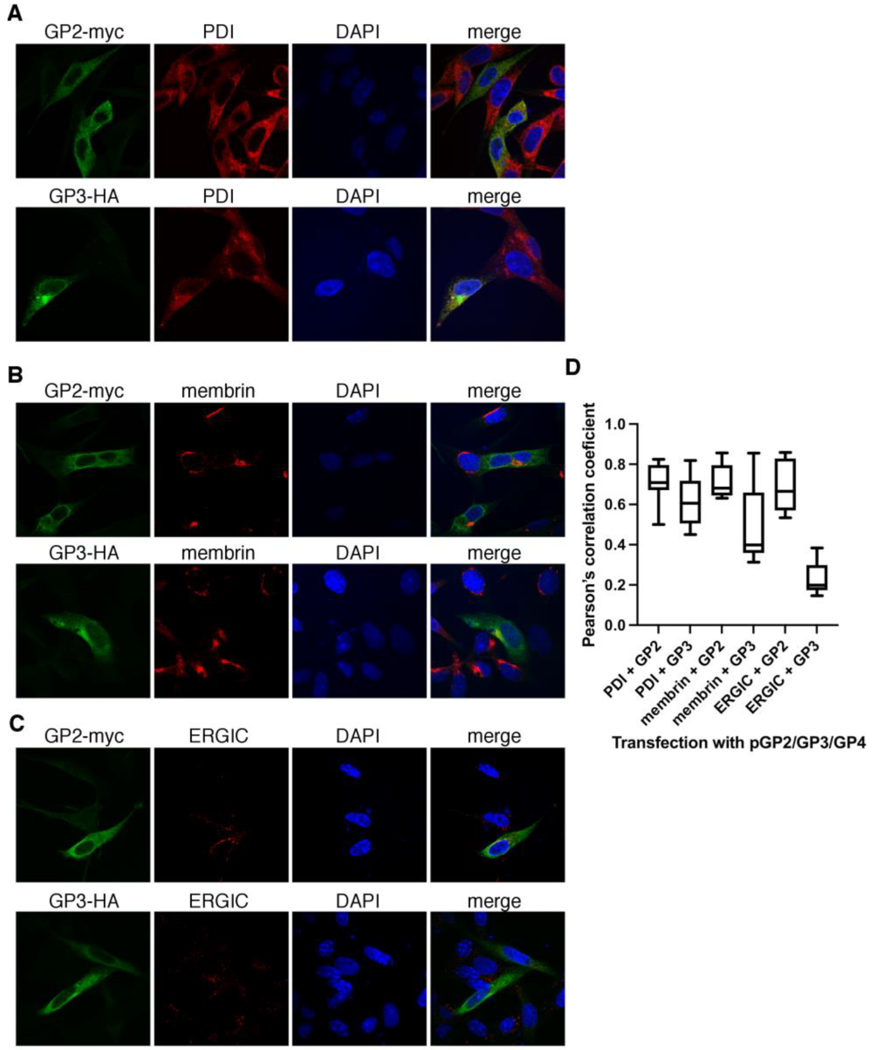 Viruses 14 00749 g007 550