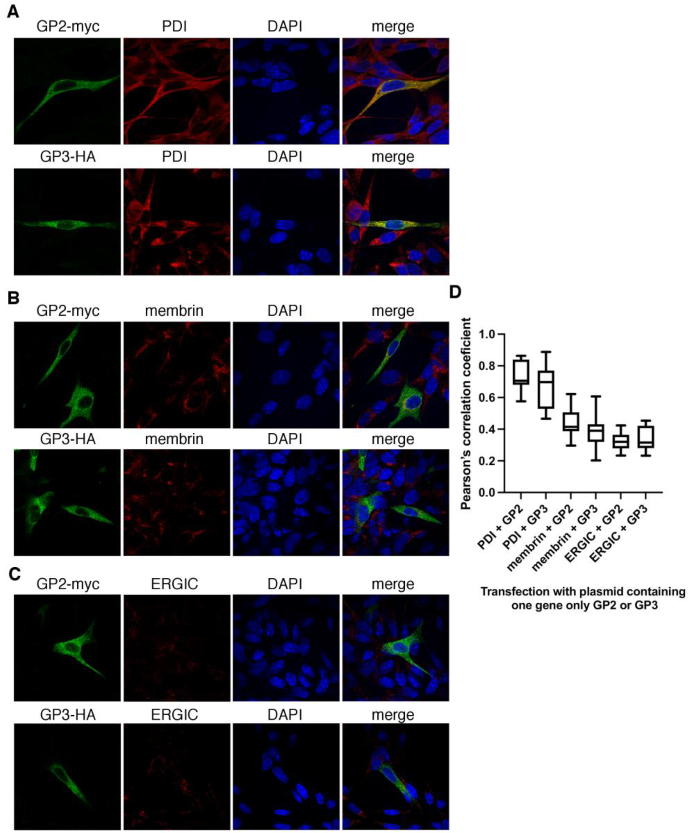 Viruses 14 00749 g008 550