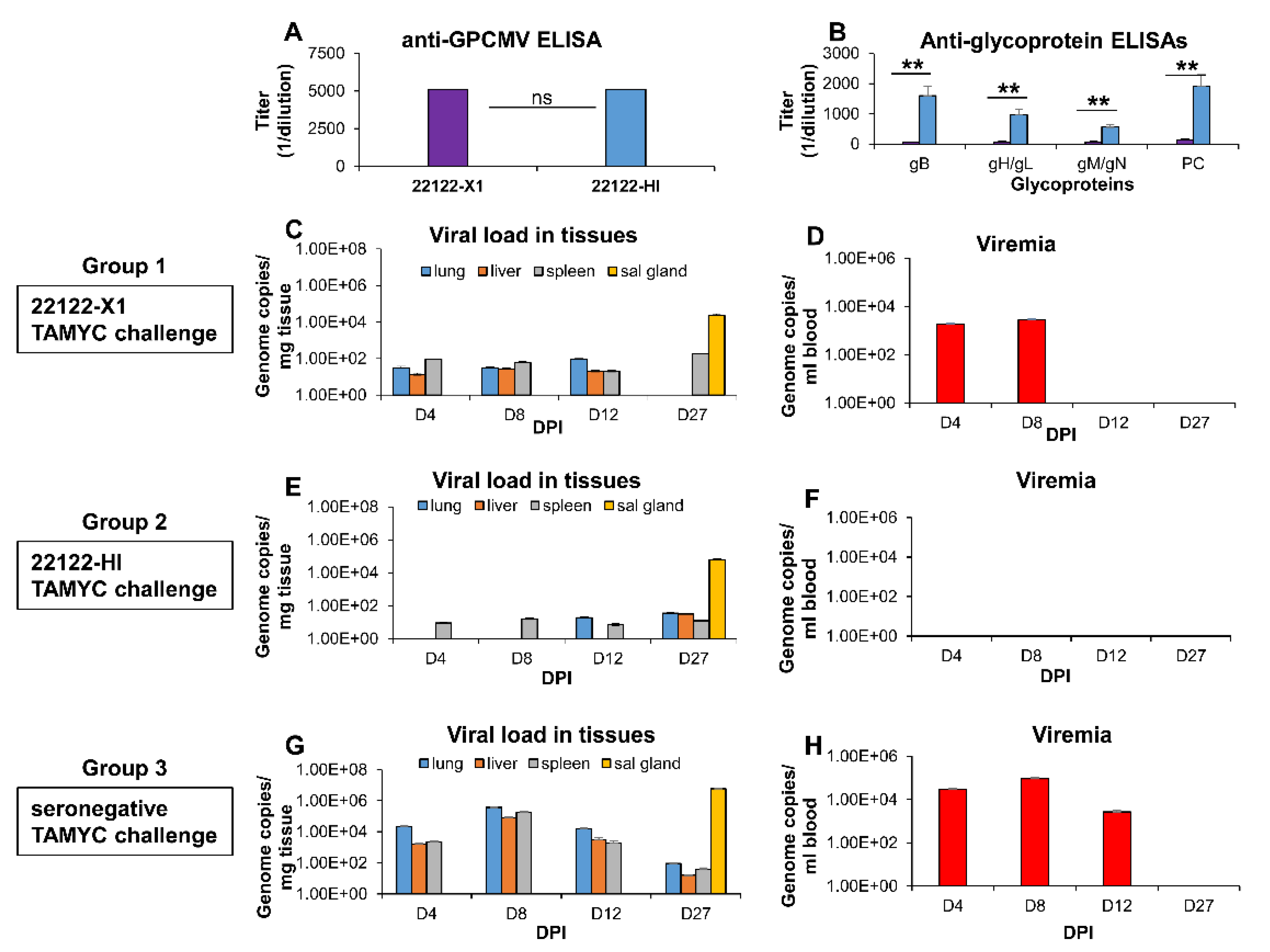 Viruses 14 00760 g003 Viruses 14 00760 g003