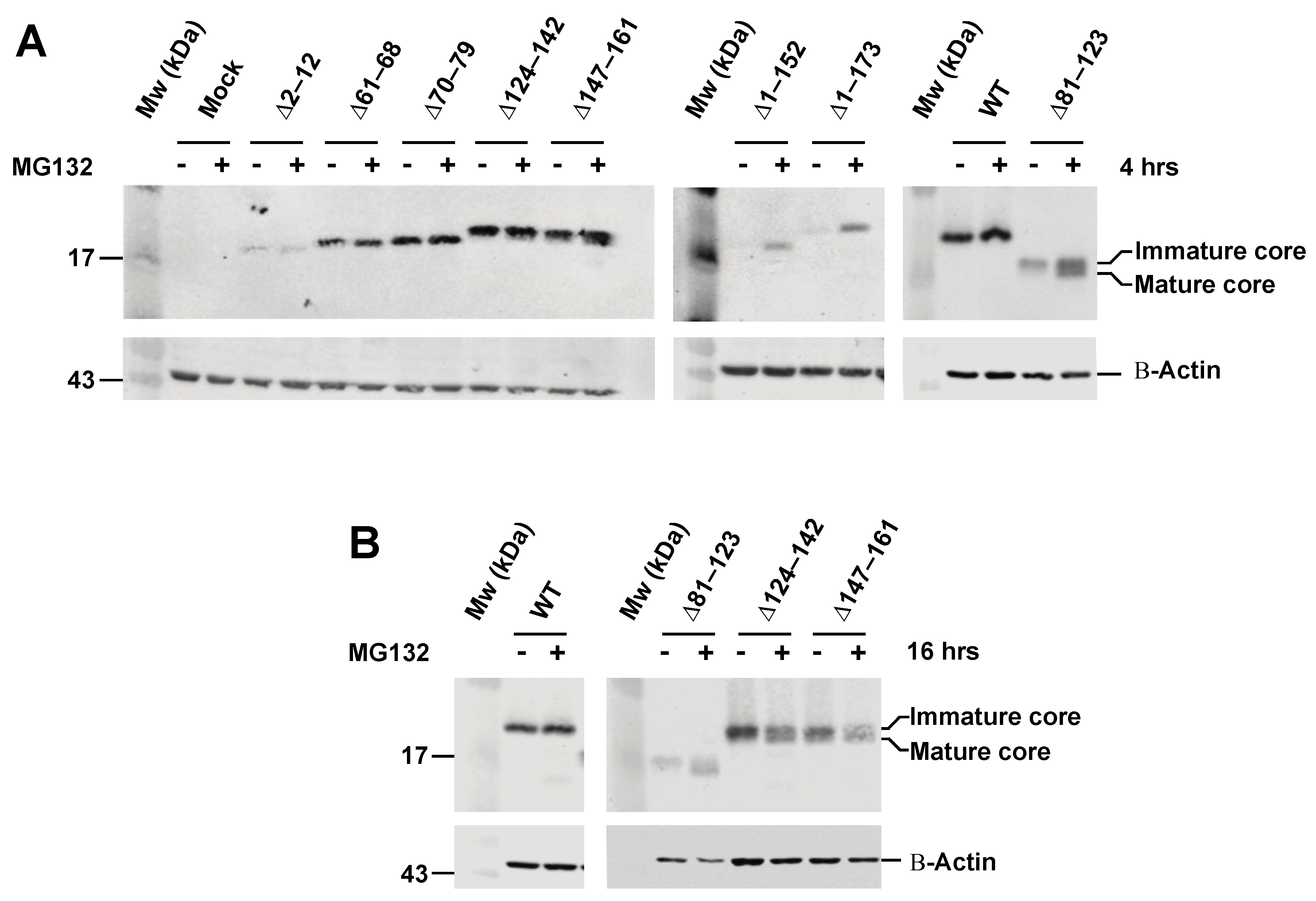 Viruses 14 00761 g002