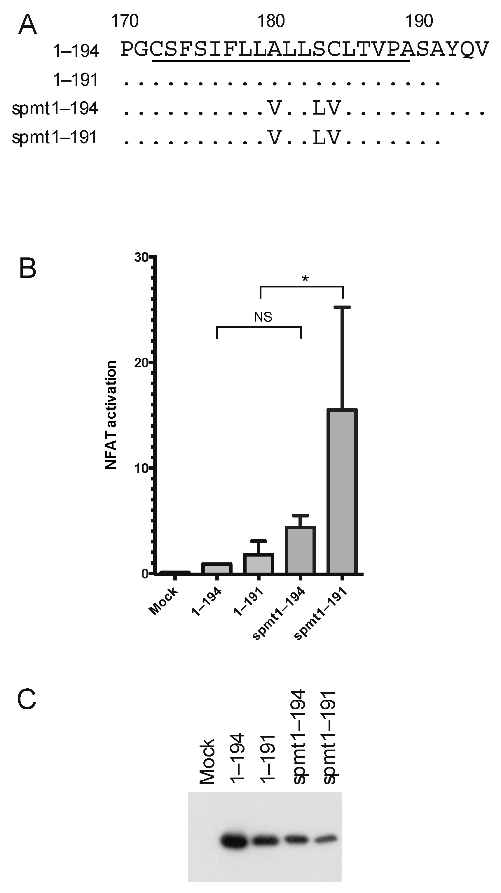 Viruses 14 00761 g004