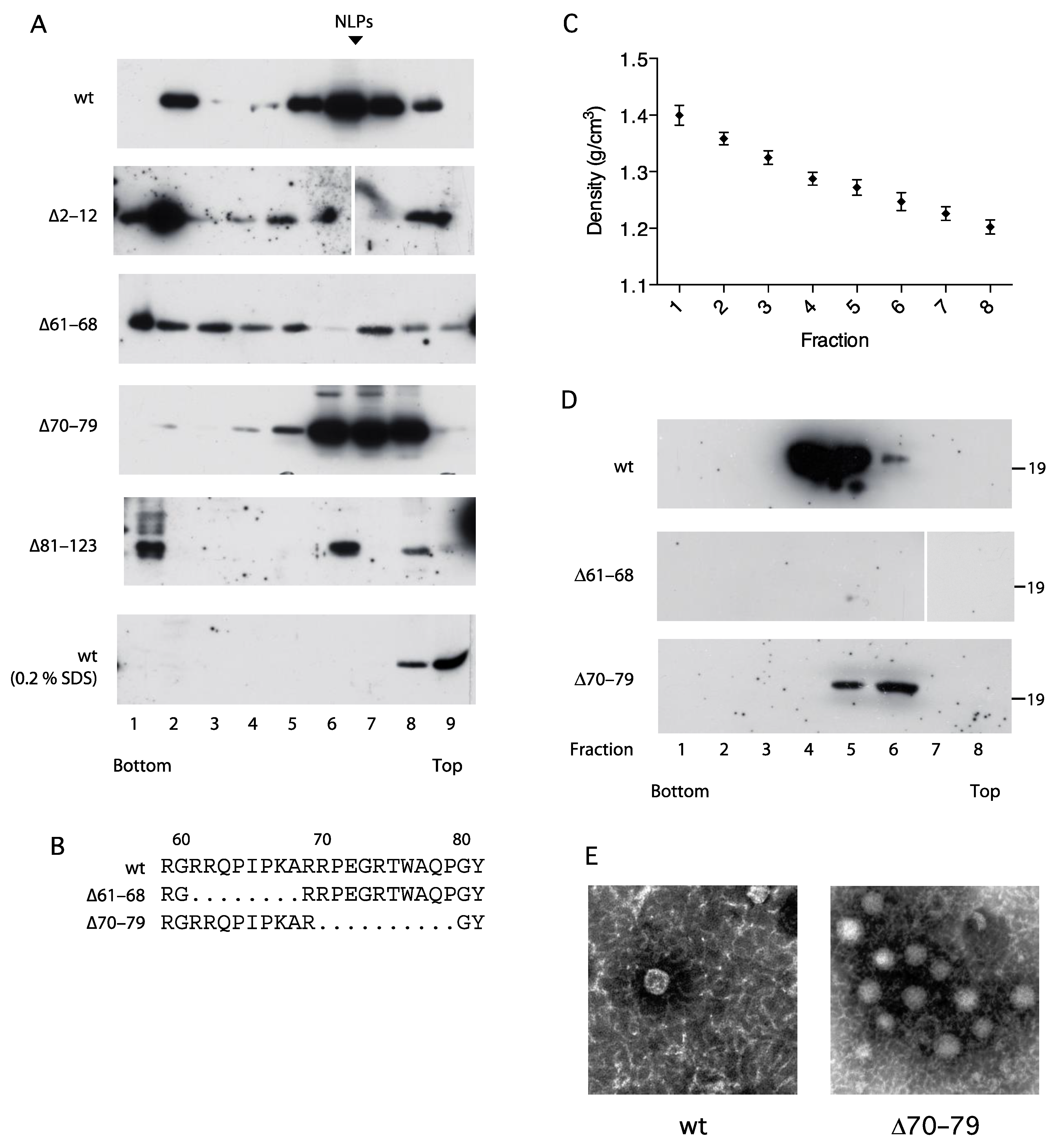 Viruses 14 00761 g005