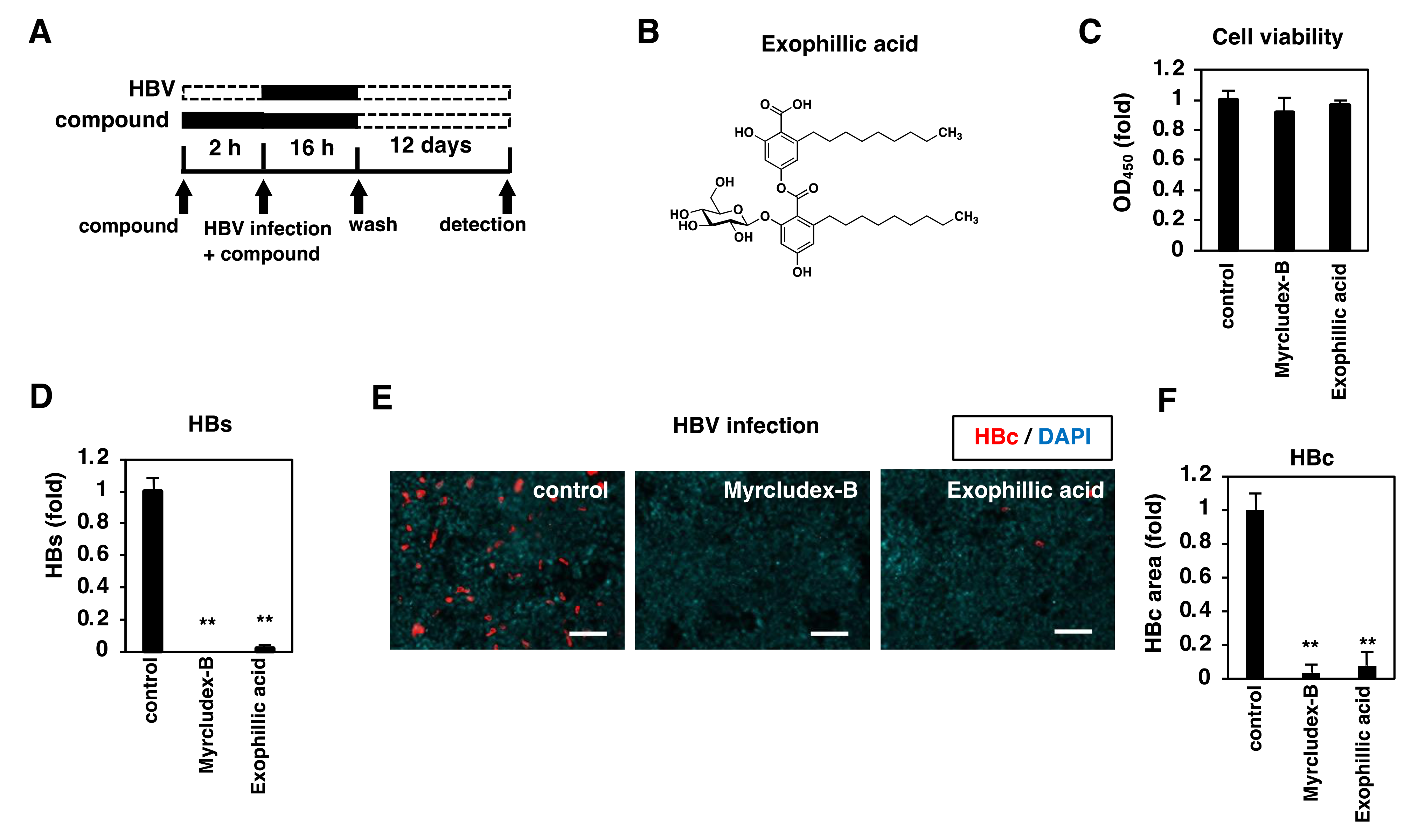 Viruses 14 00764 g001