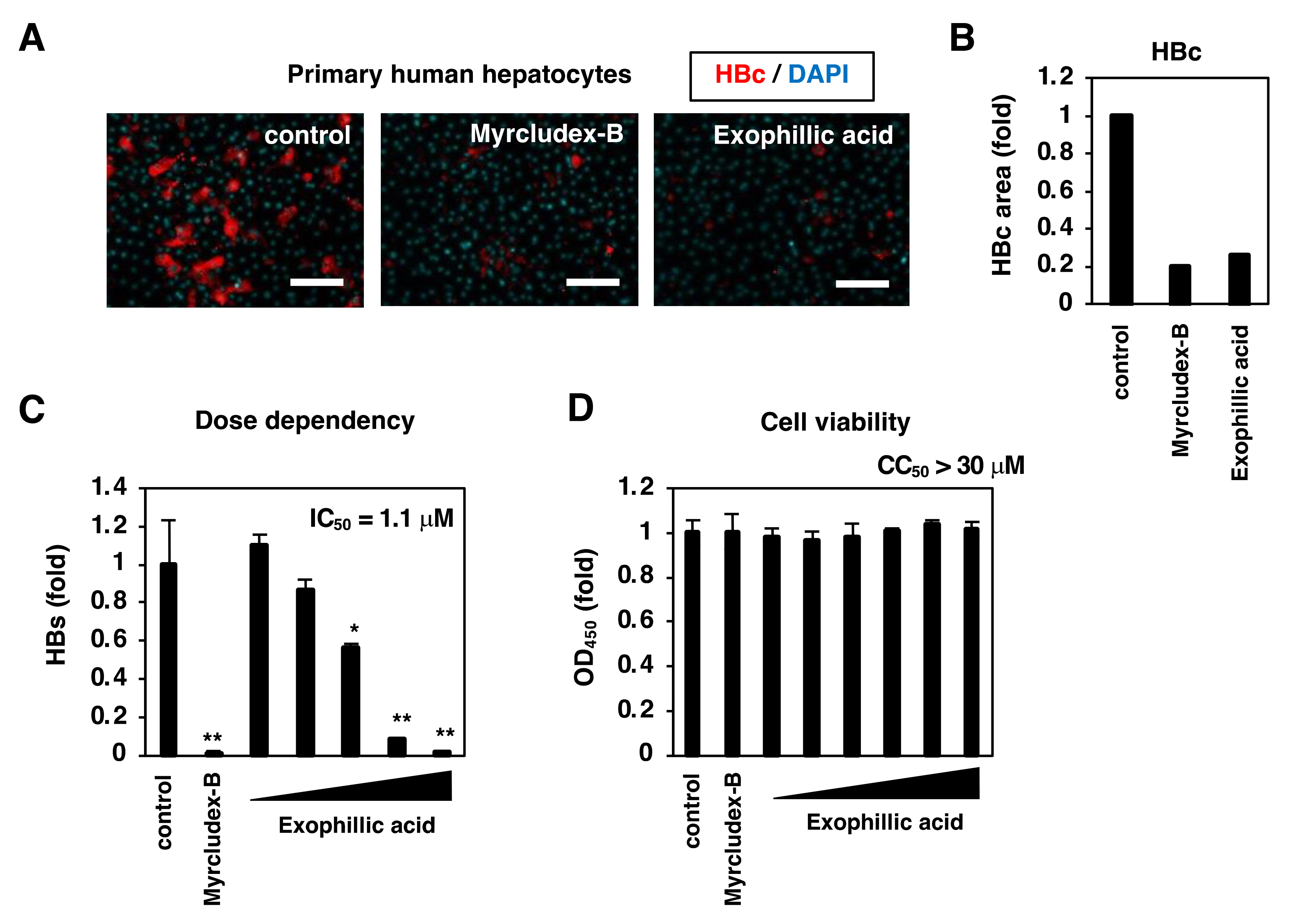 Viruses 14 00764 g002