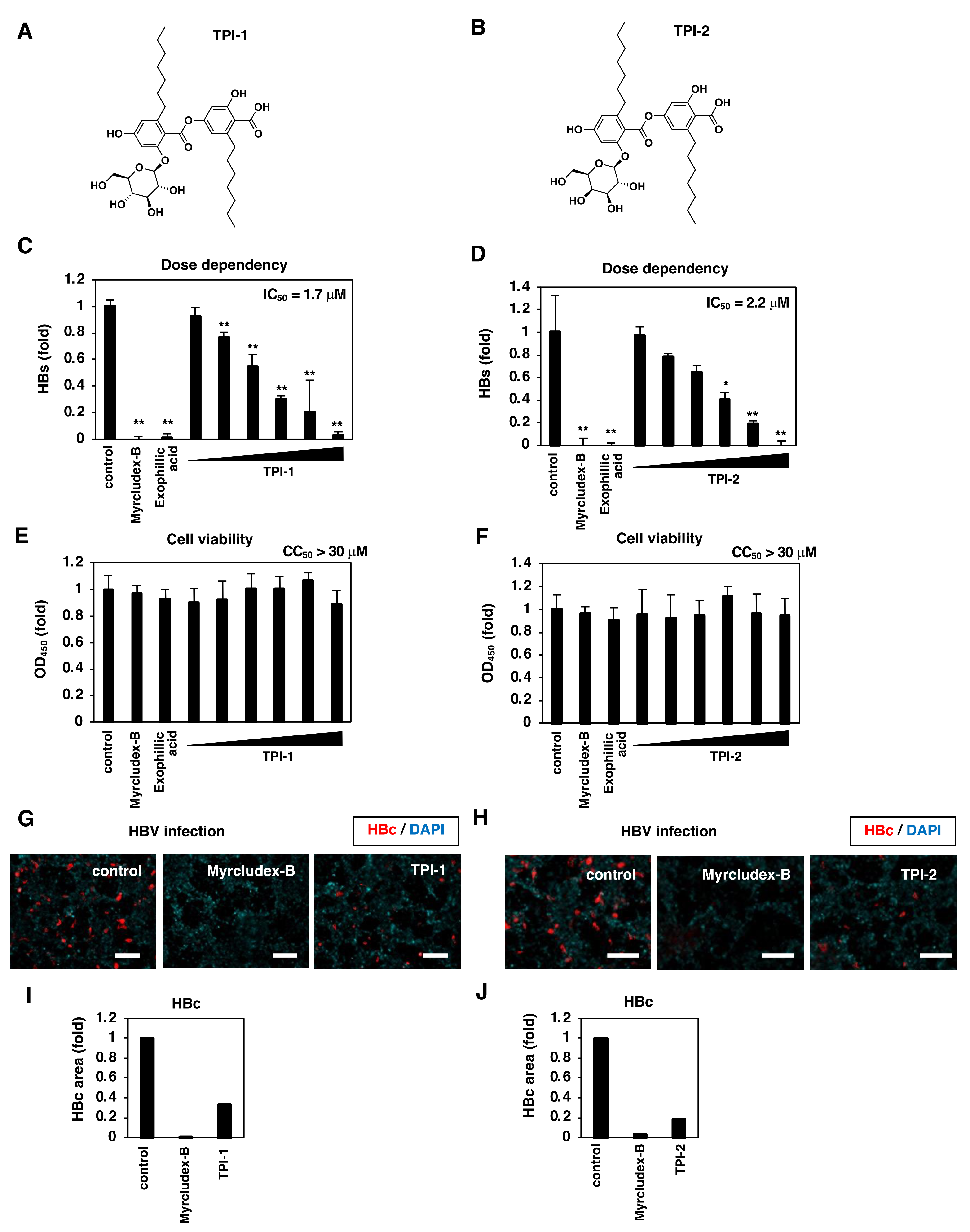 Viruses 14 00764 g003