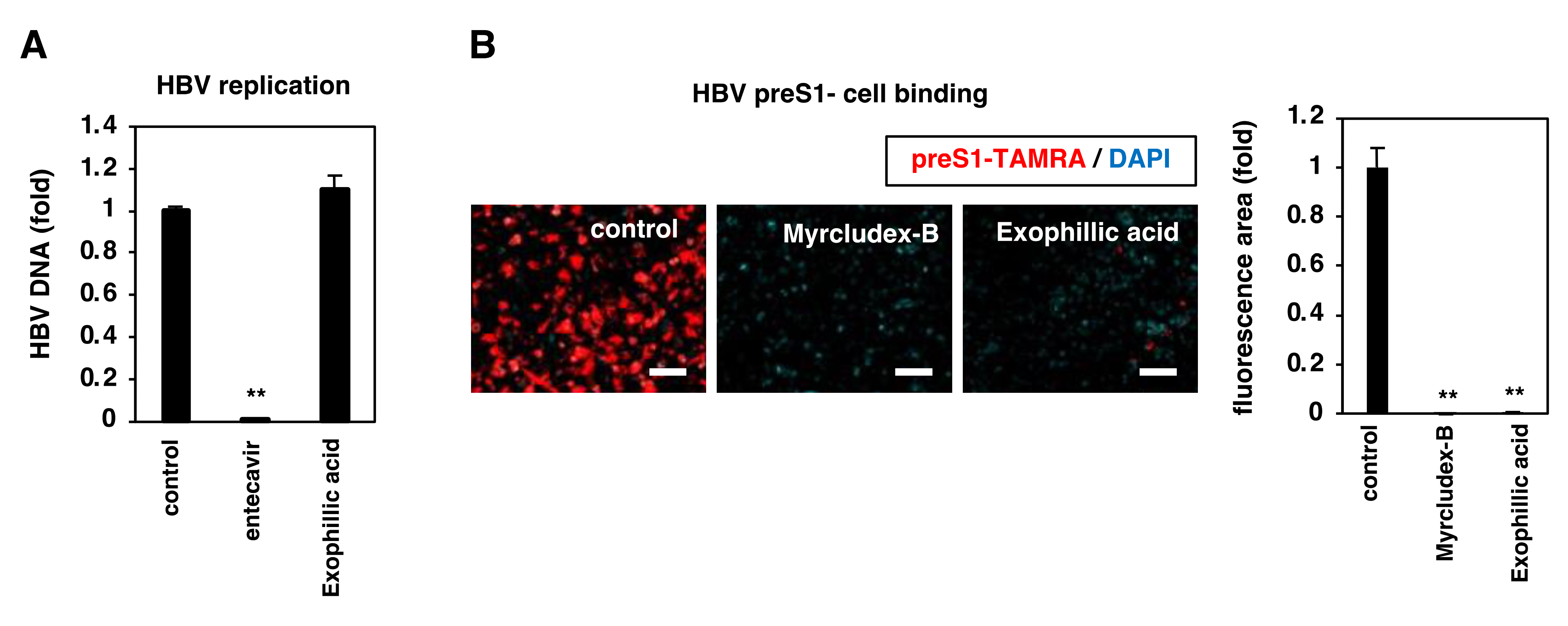 Viruses 14 00764 g004