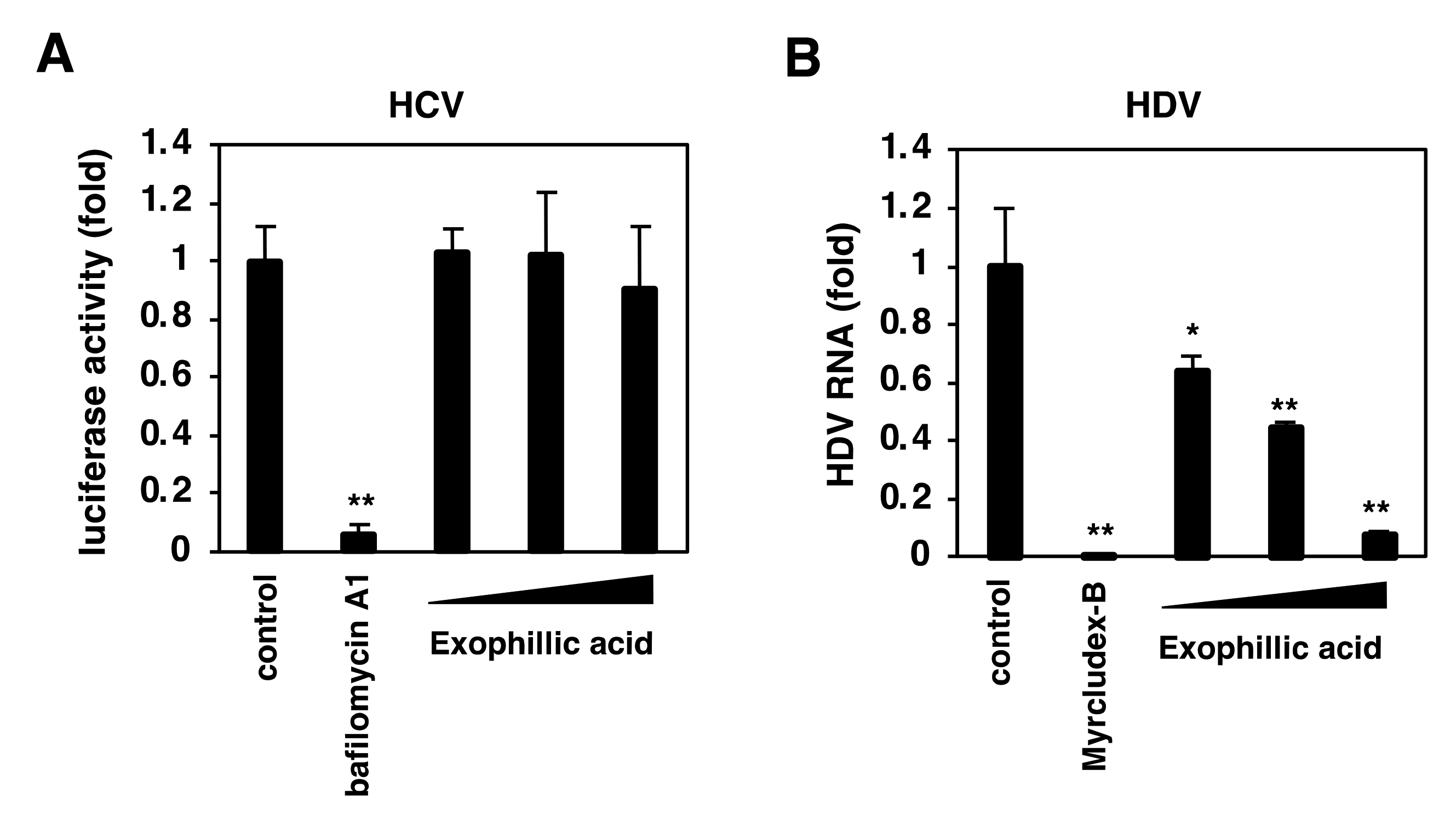 Viruses 14 00764 g007