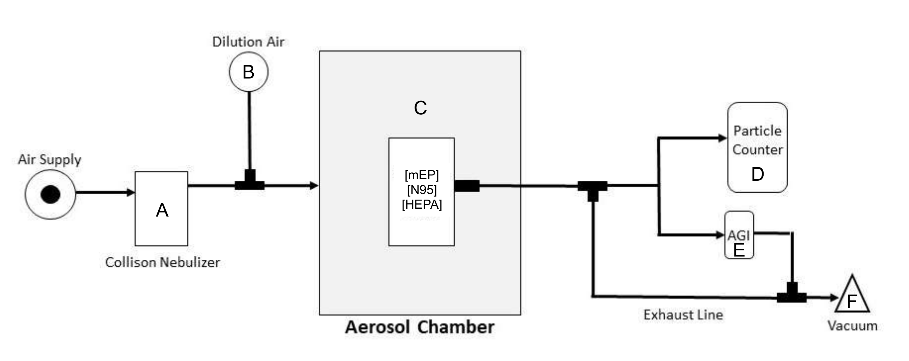 Viruses 14 00765 g002