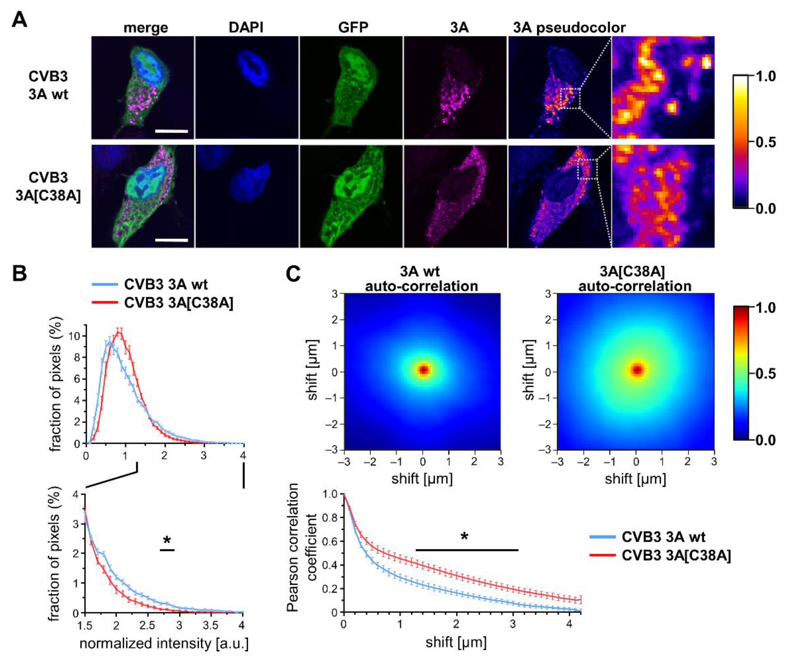 Viruses 14 00769 g002 550