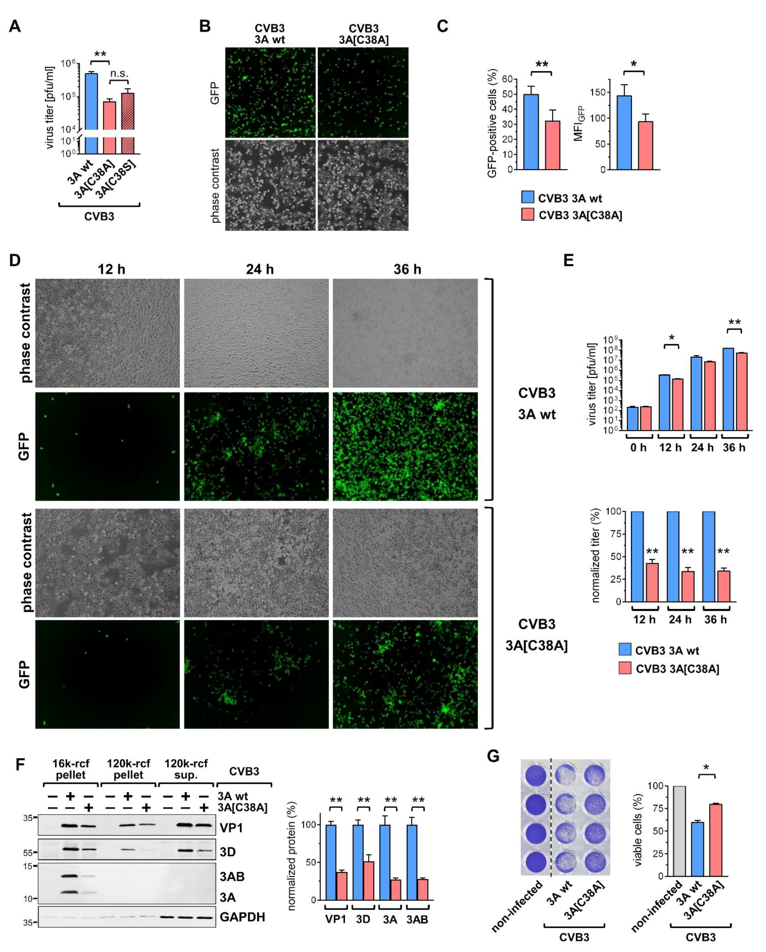 Viruses 14 00769 g003 550
