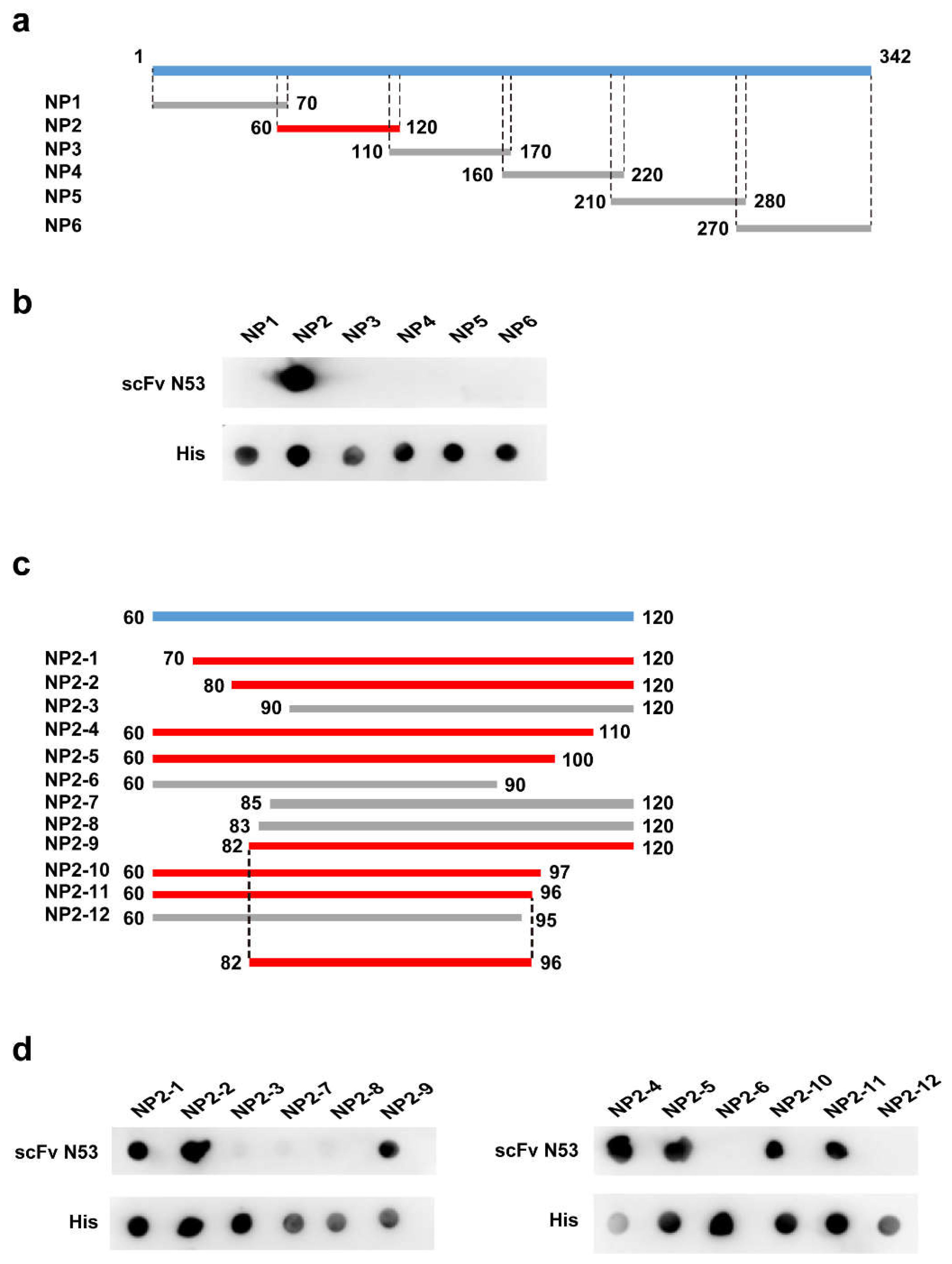 Viruses 14 00772 g005 Viruses 14 00772 g005
