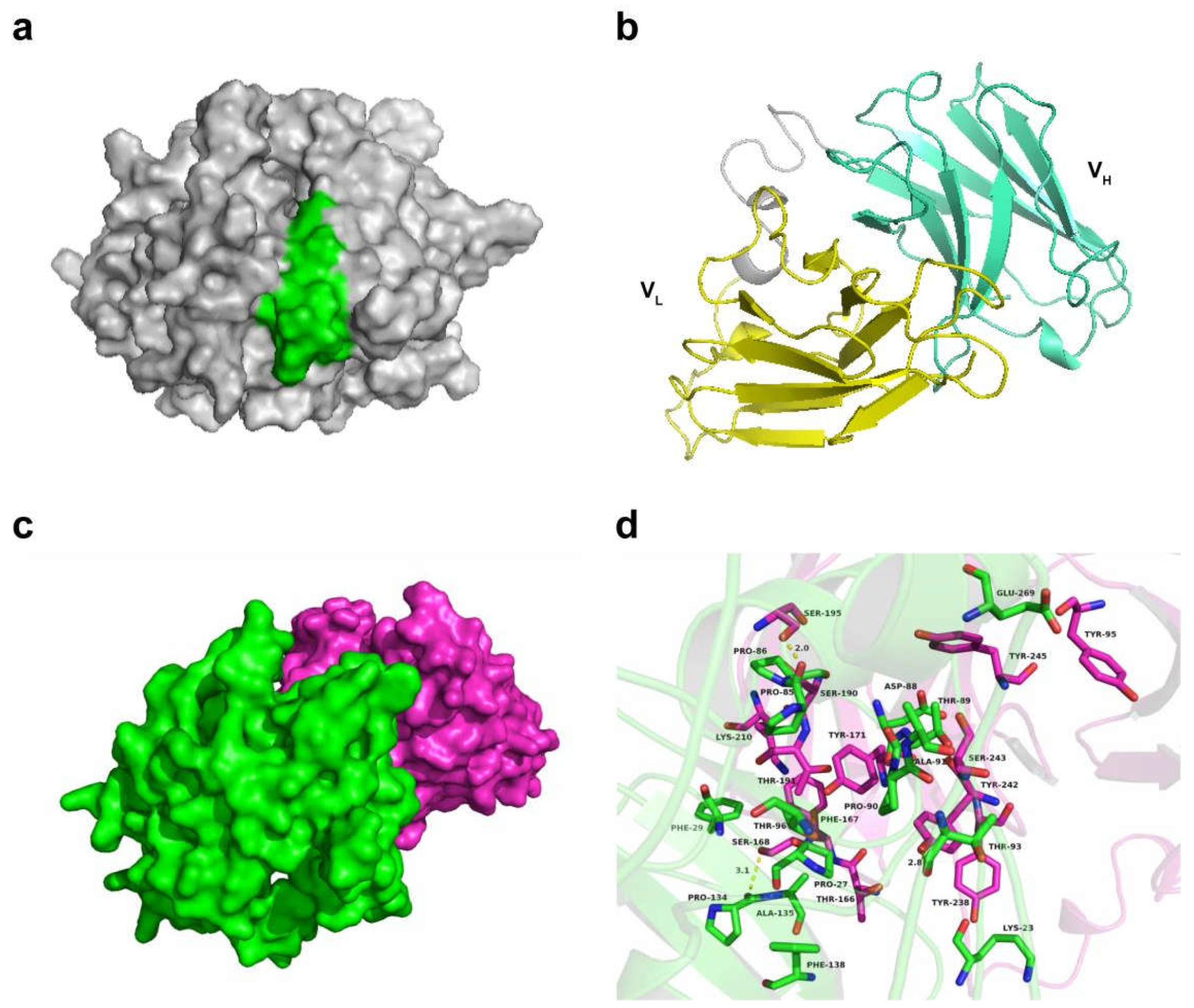 Viruses 14 00772 g006 Viruses 14 00772 g006