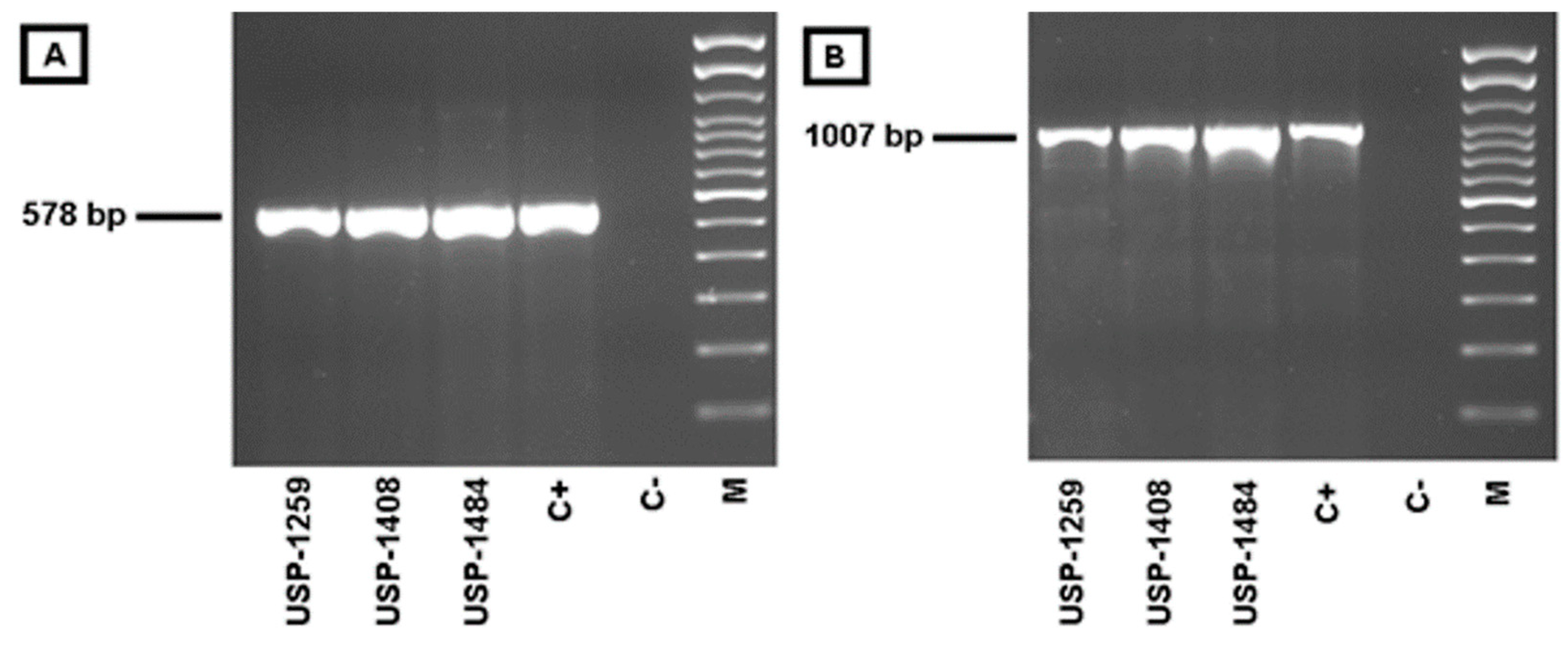 Viruses 14 00773 g008 Viruses 14 00773 g008