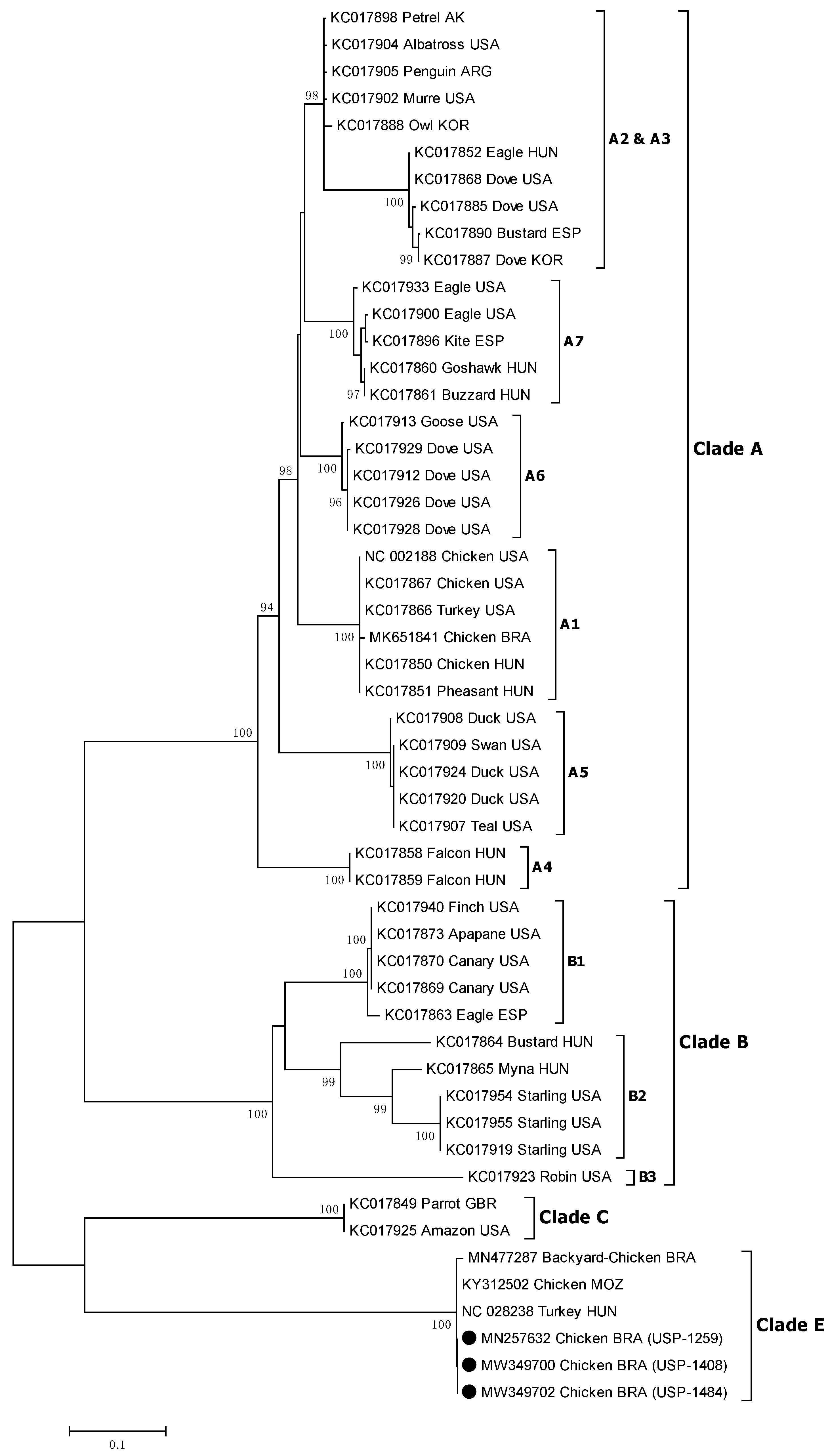 Viruses 14 00773 g010 Viruses 14 00773 g010