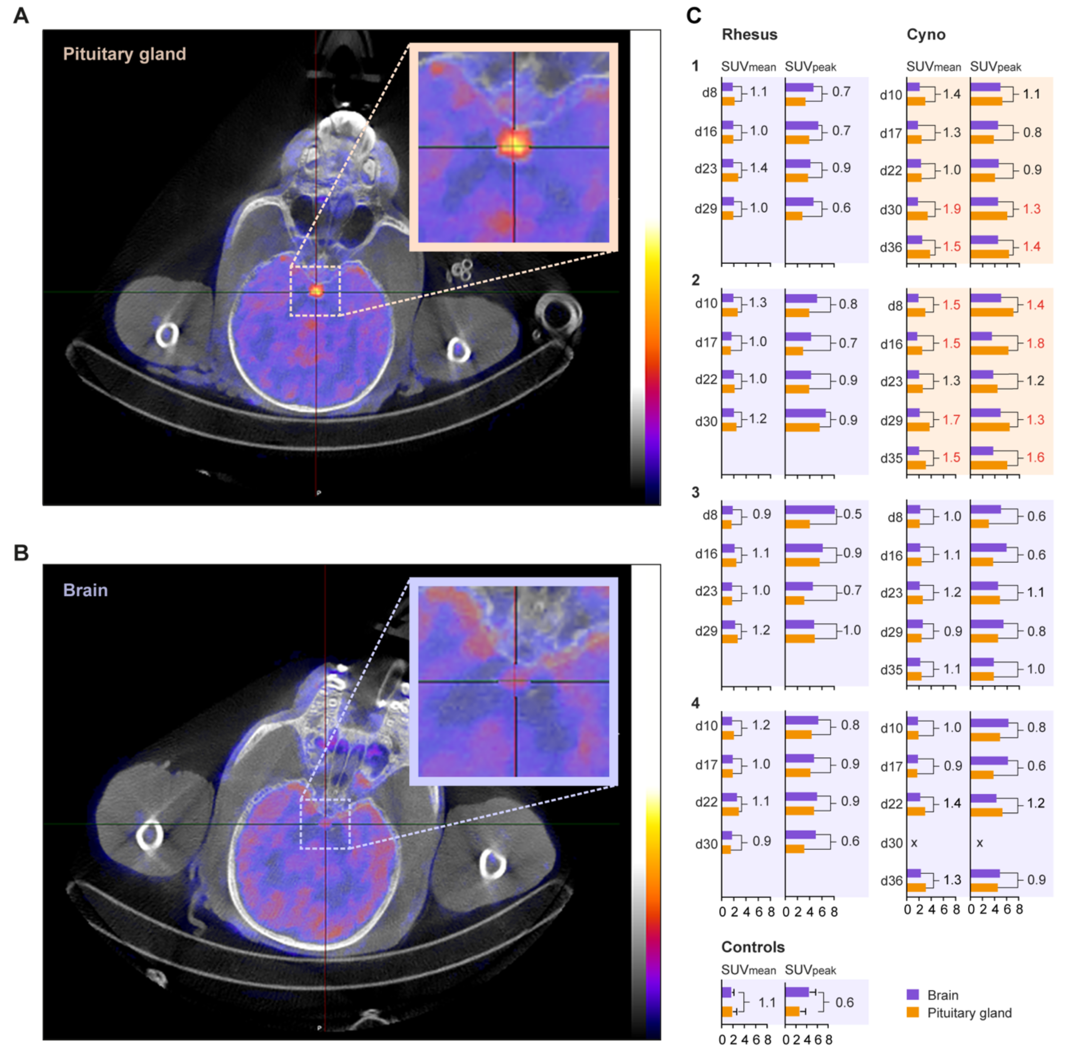 Viruses 14 00776 g001