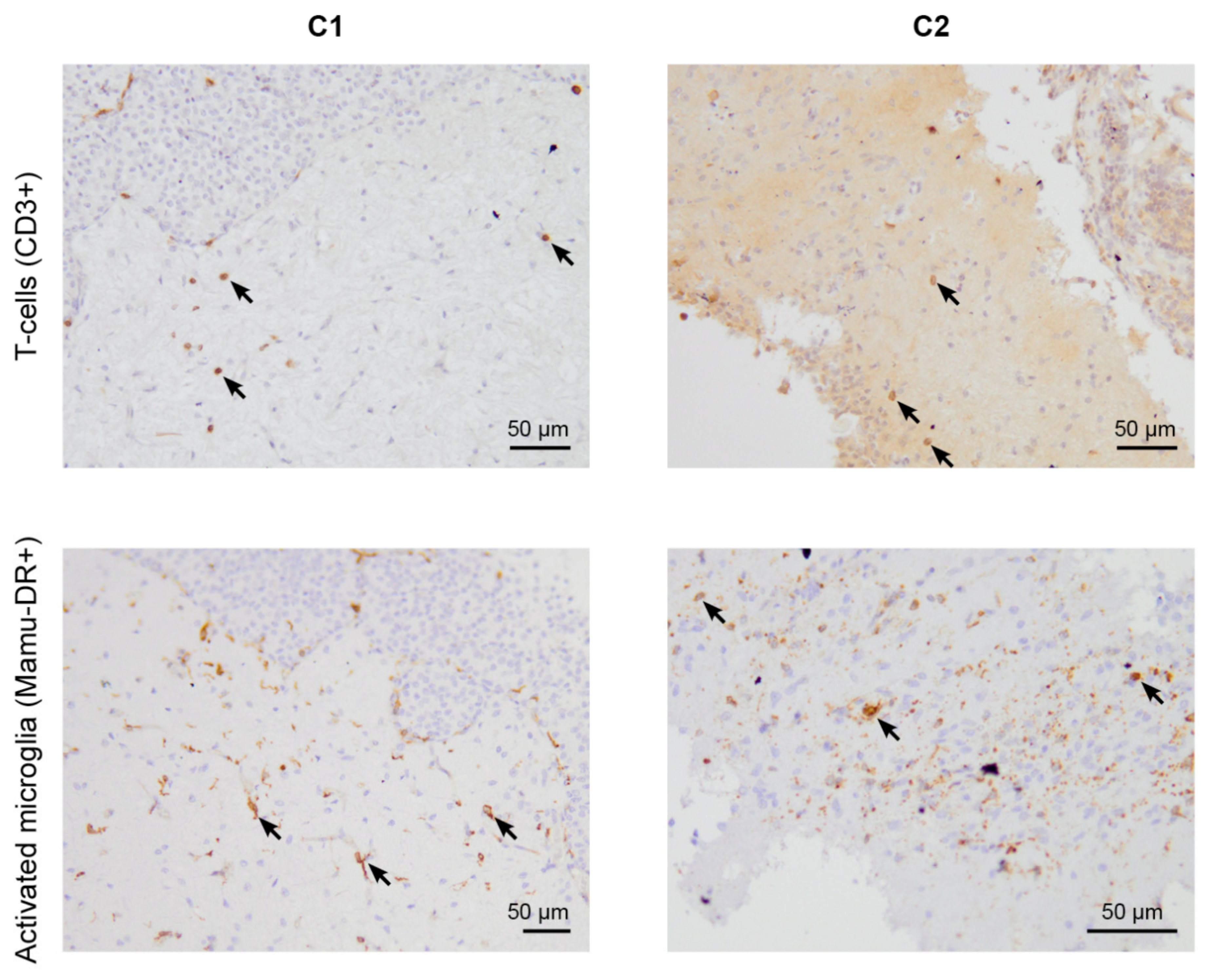 Viruses 14 00776 g002