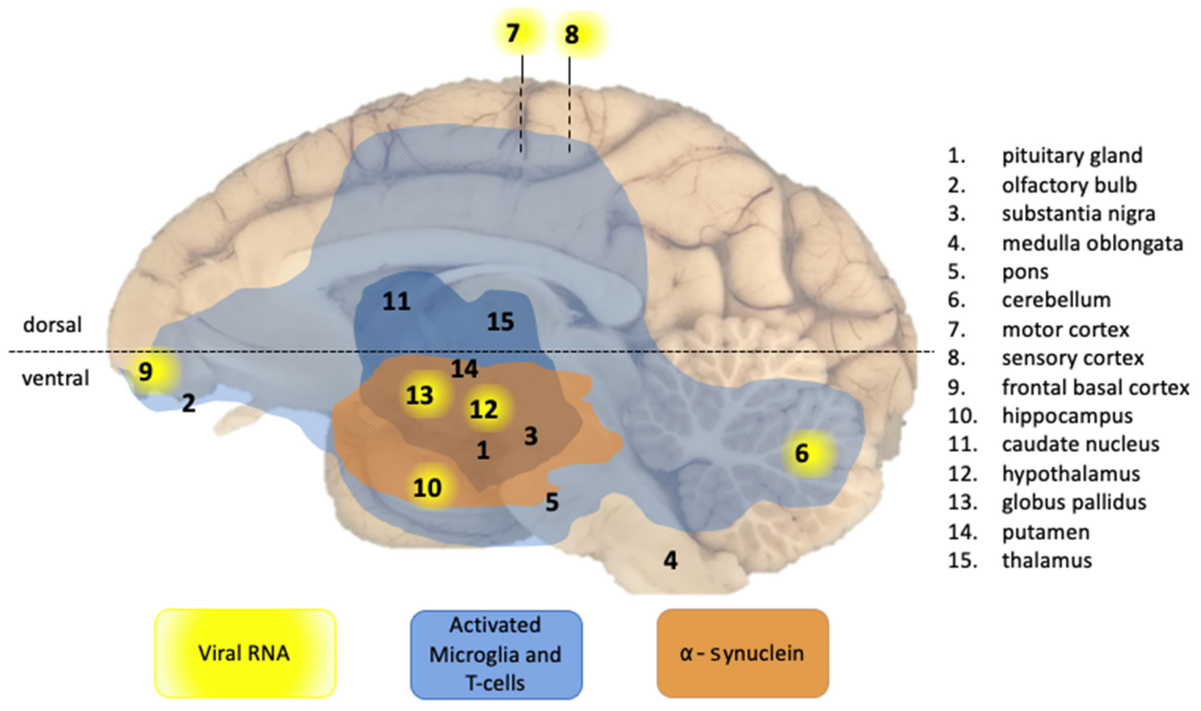 Viruses 14 00776 g003