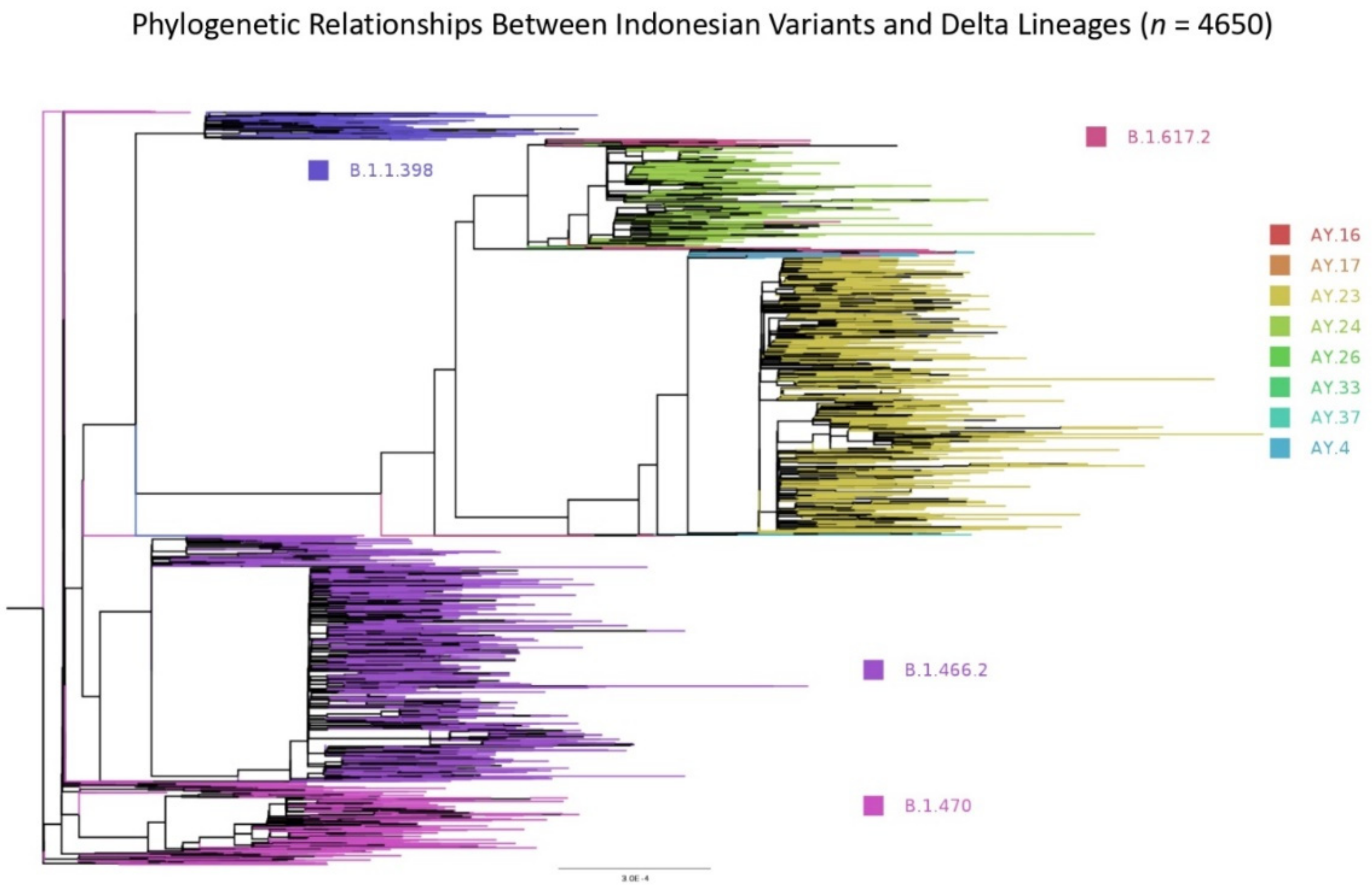 Viruses 14 00778 g005 550