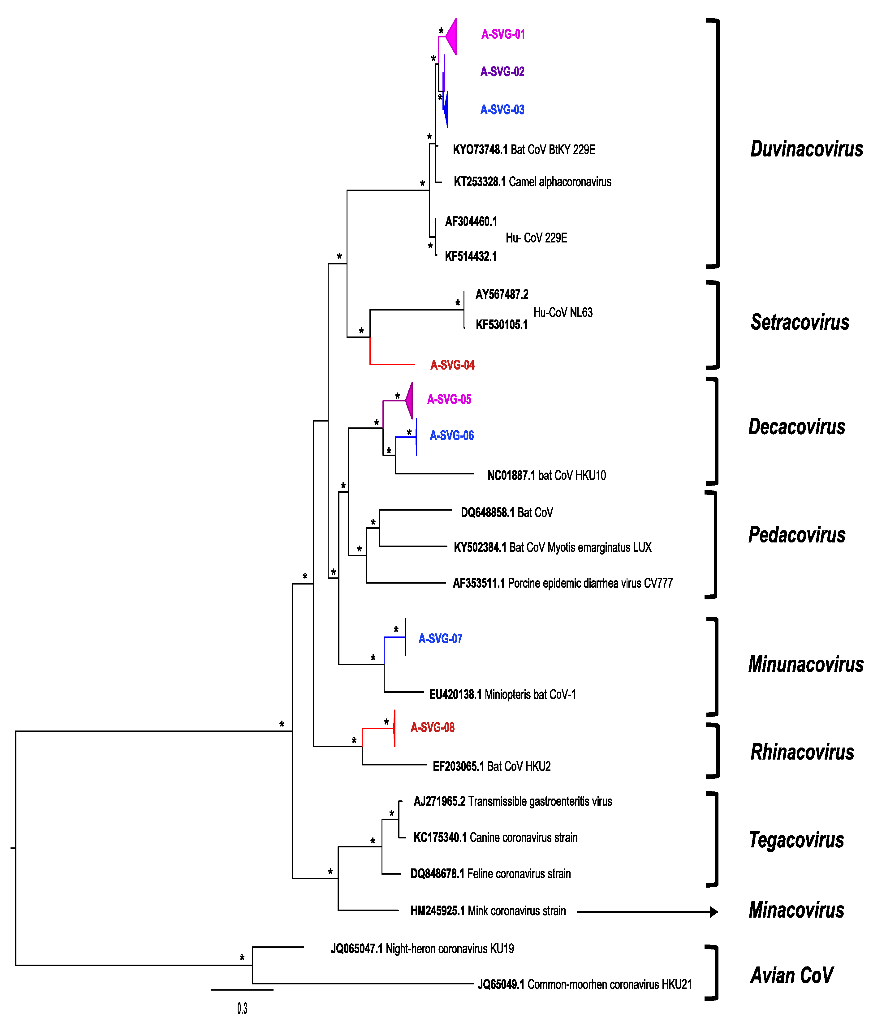 Viruses 14 00781 g003