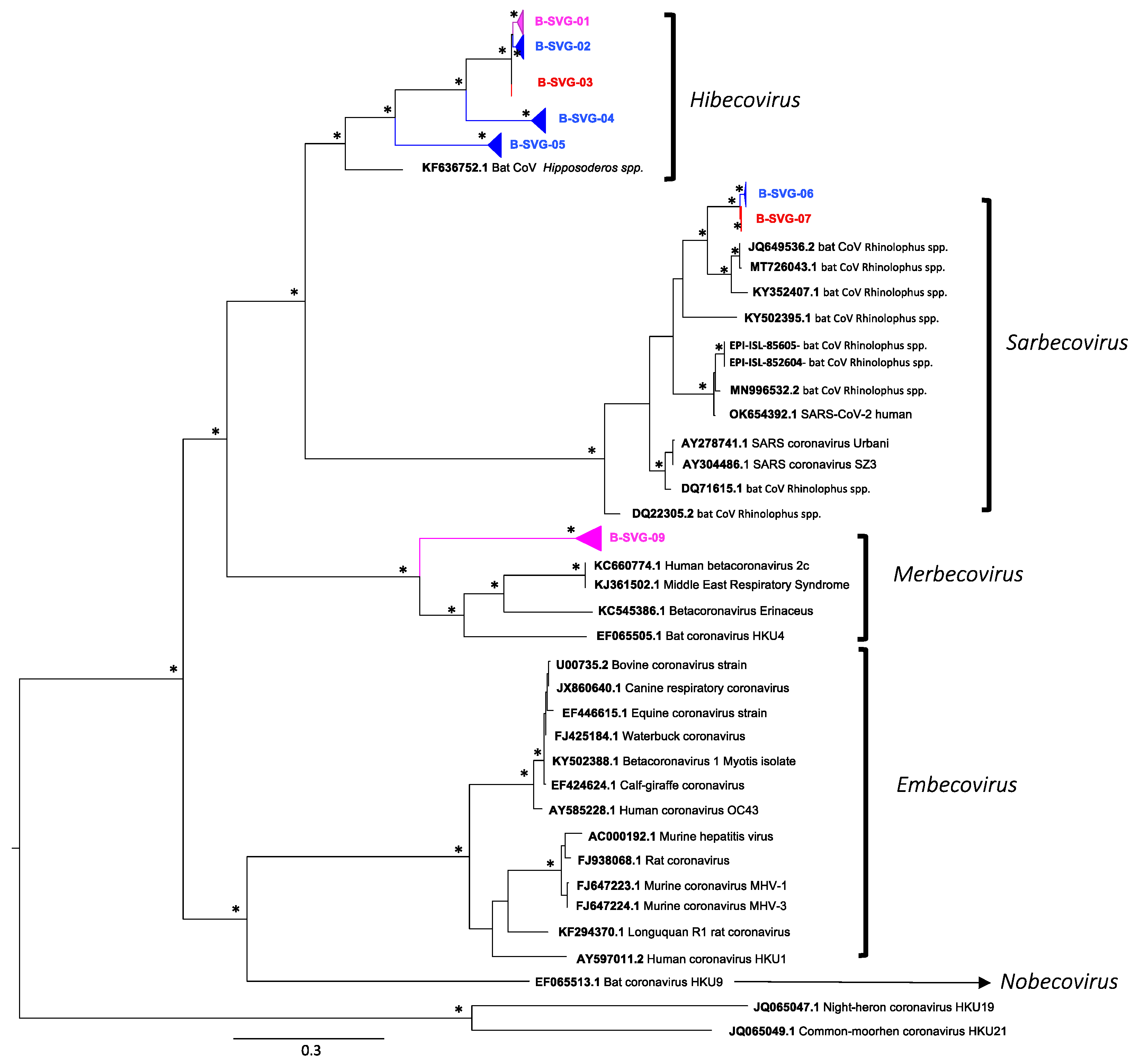 Viruses 14 00781 g004