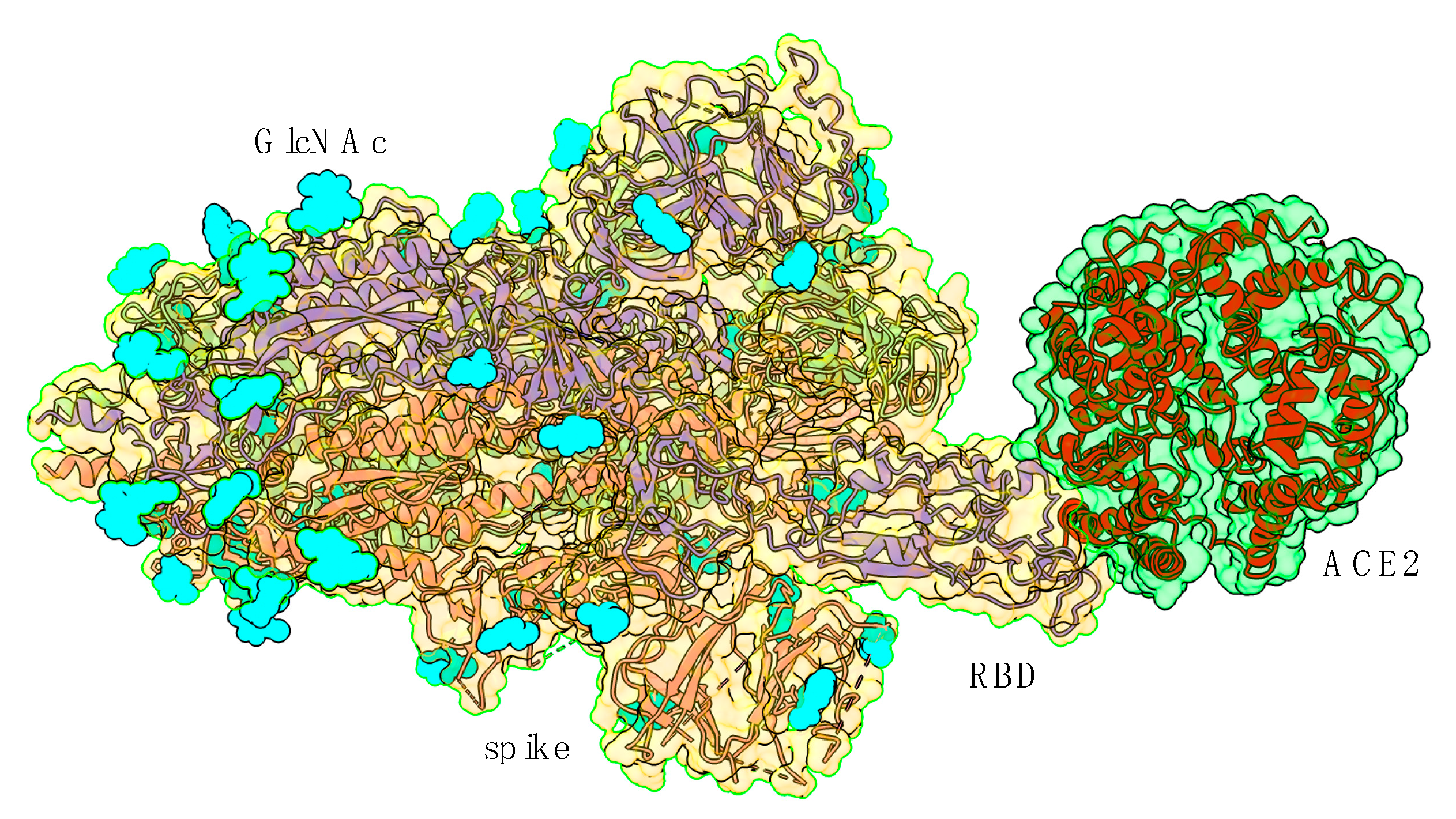 Viruses 14 00783 g001
