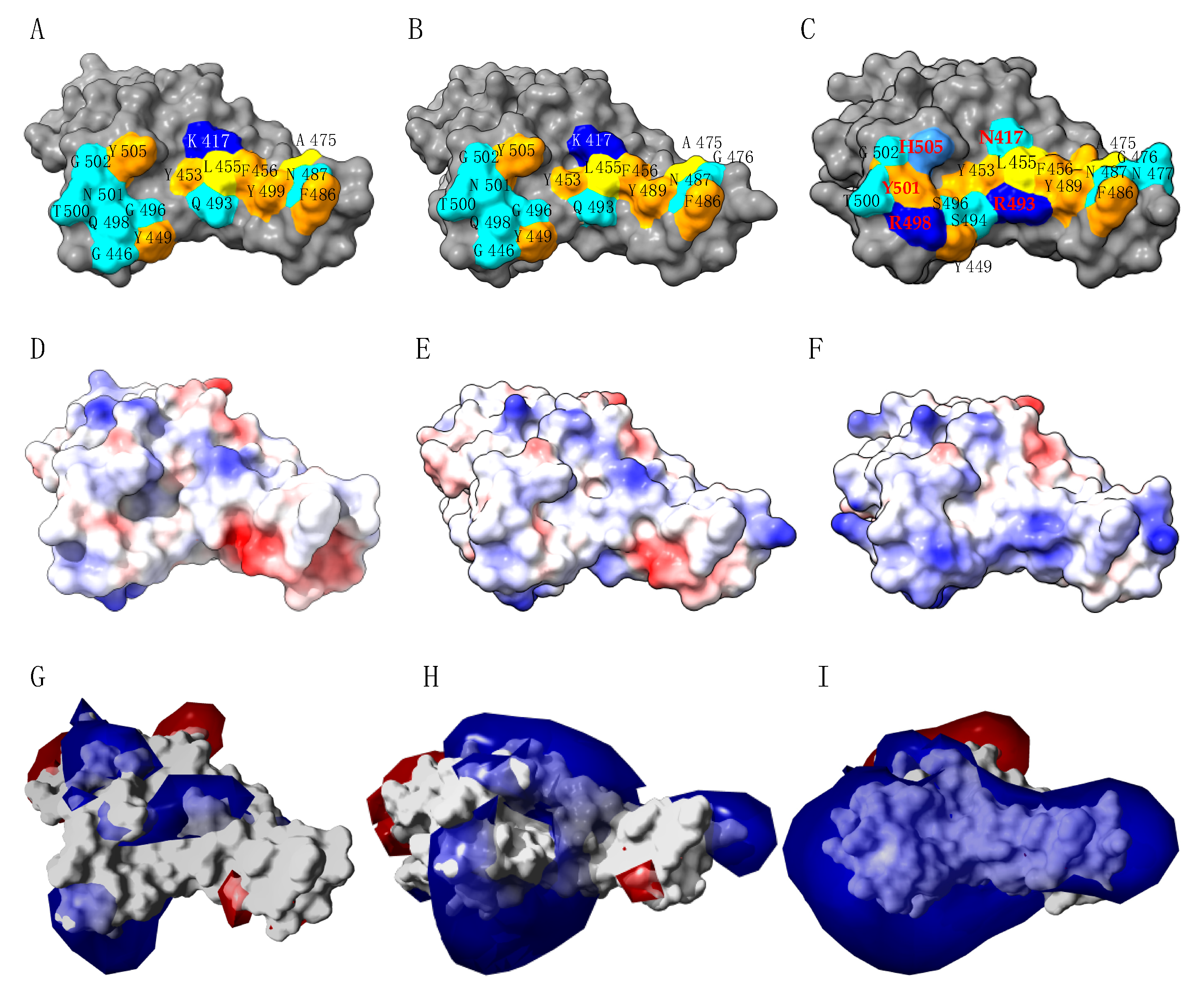 Viruses 14 00783 g007