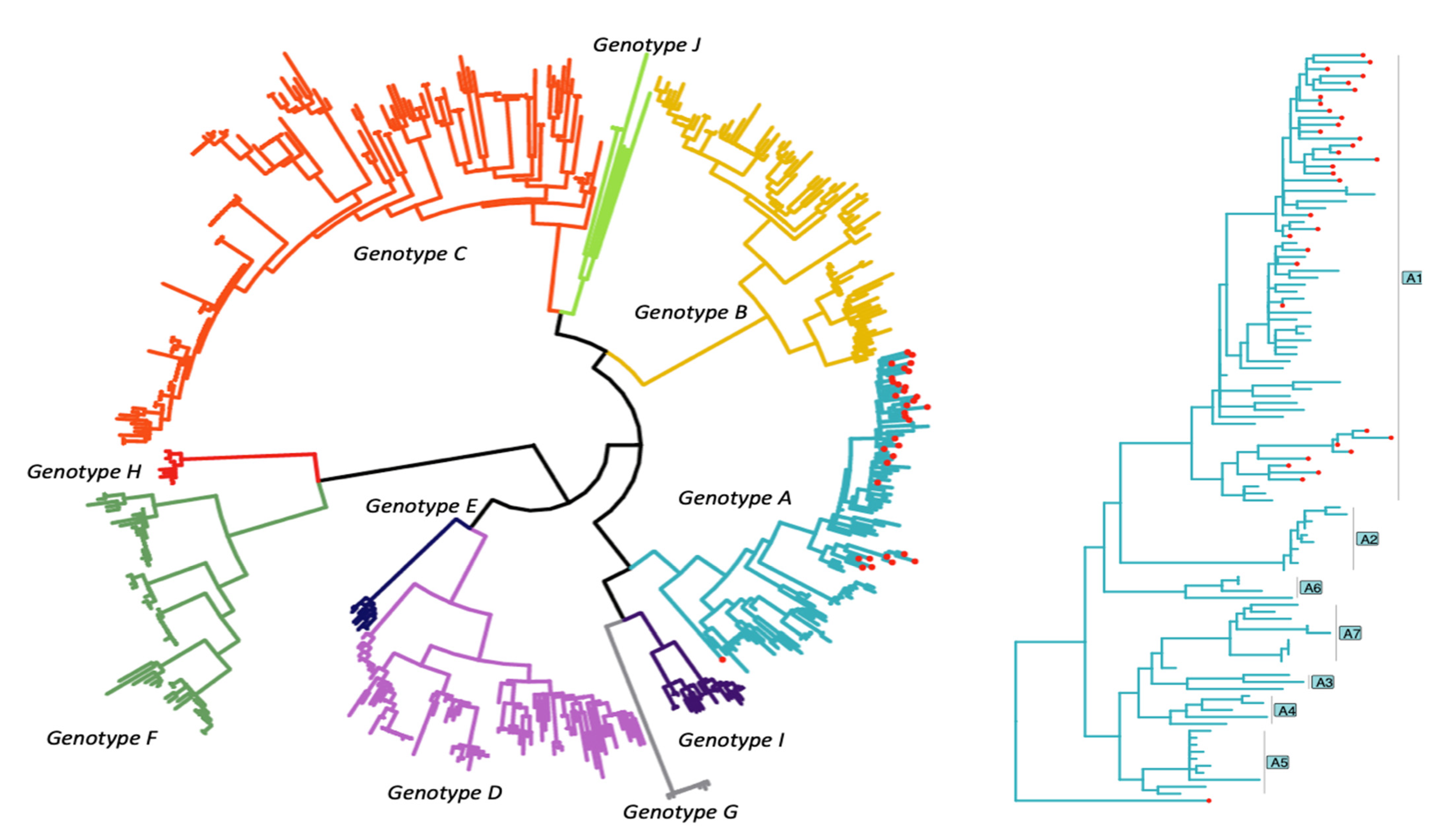 Viruses 14 00788 g003