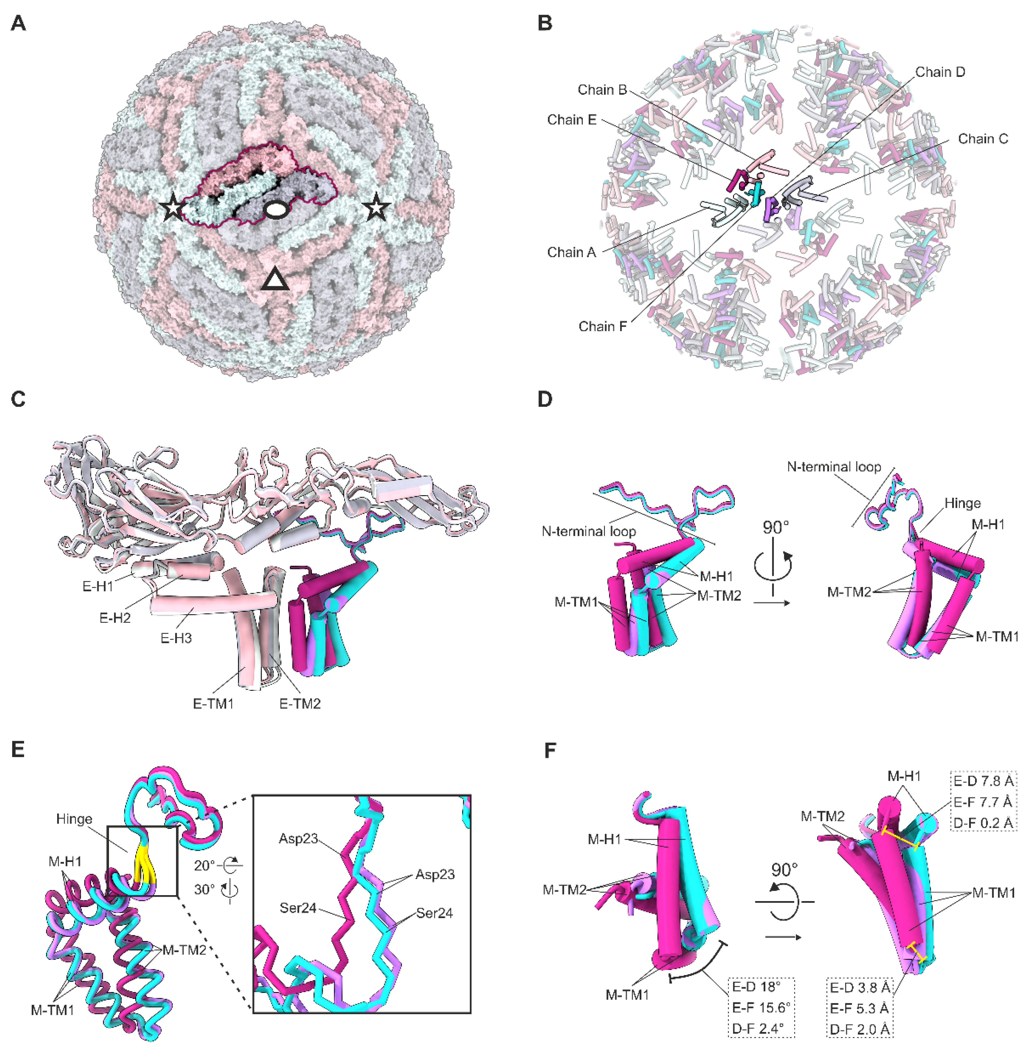 Viruses 14 00792 g002