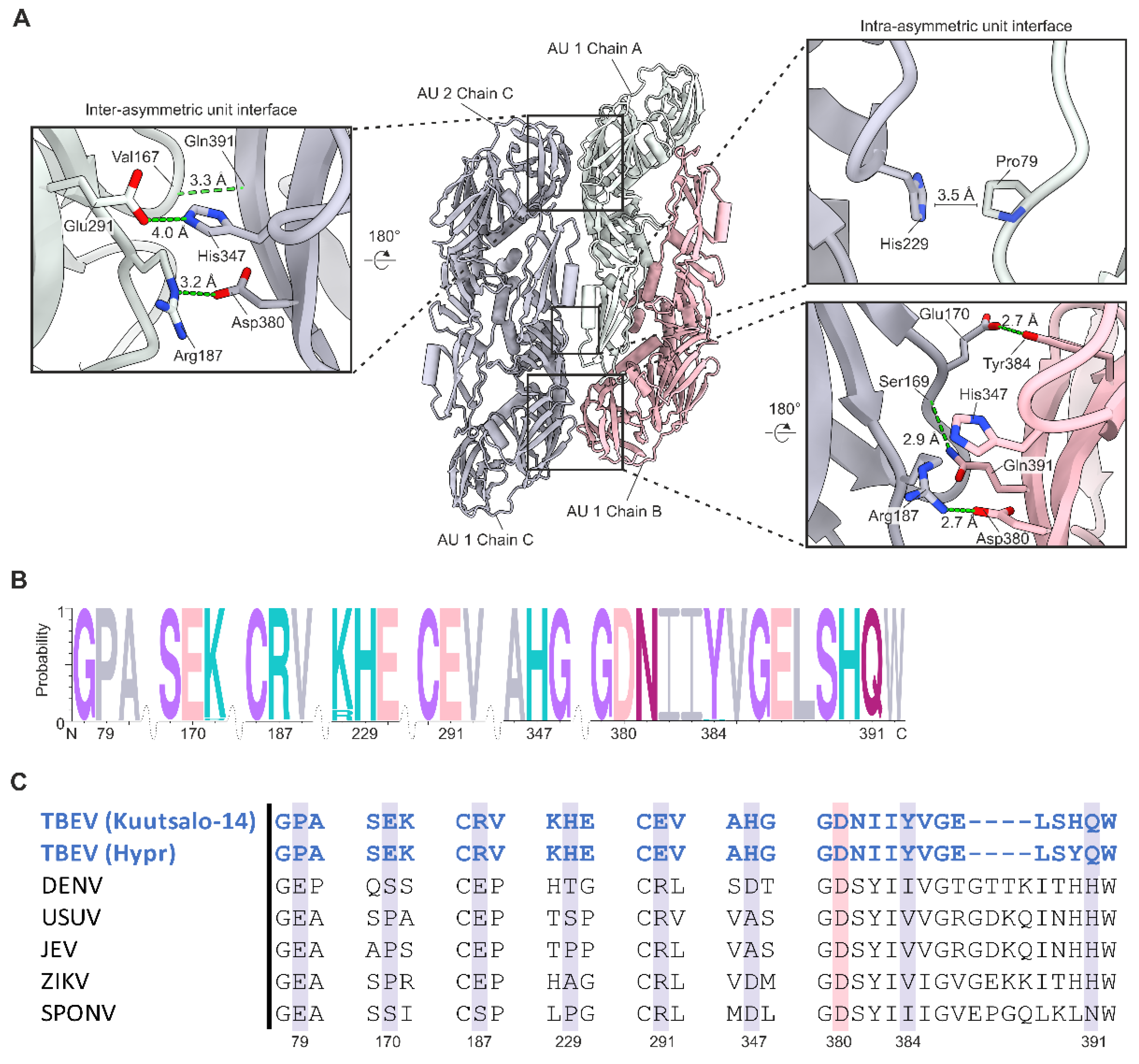Viruses 14 00792 g004