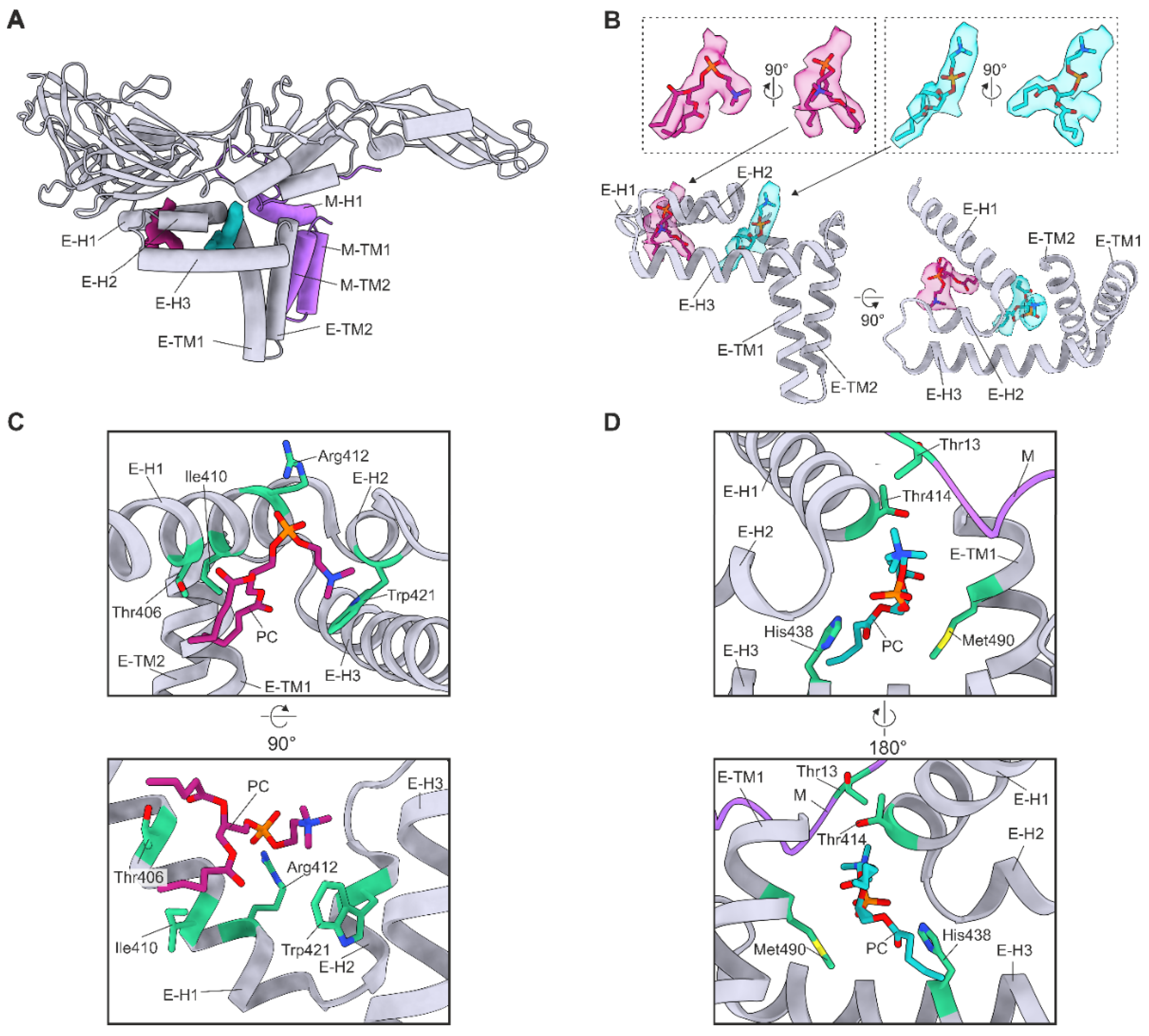 Viruses 14 00792 g005