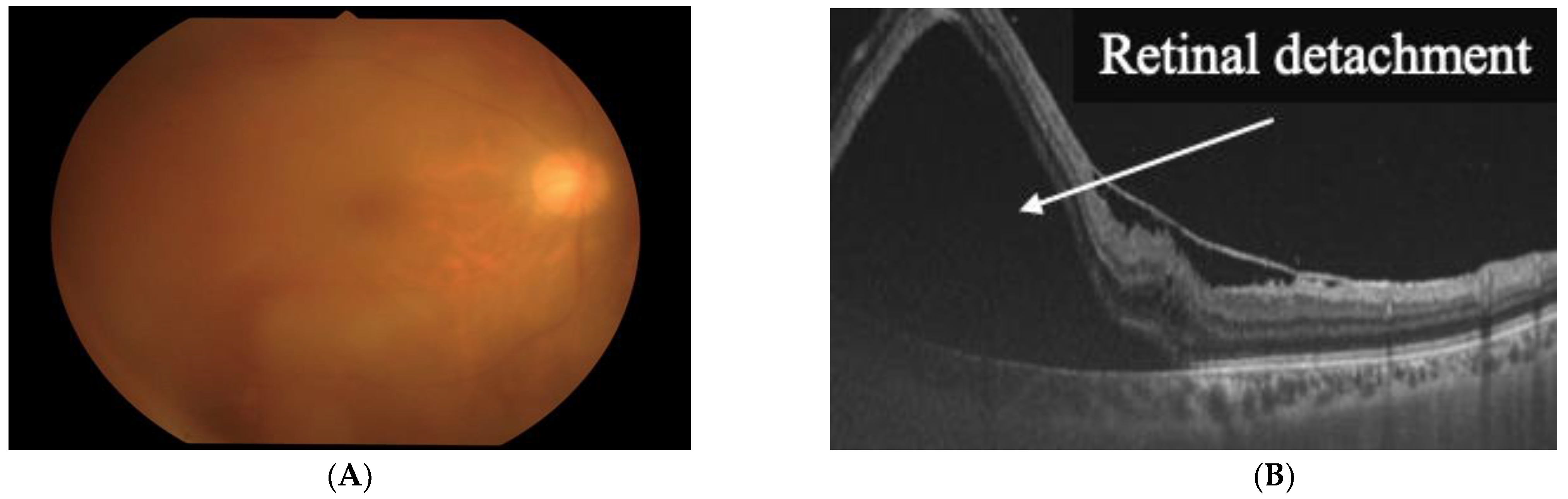 Viruses 14 00794 g001 Viruses 14 00794 g001