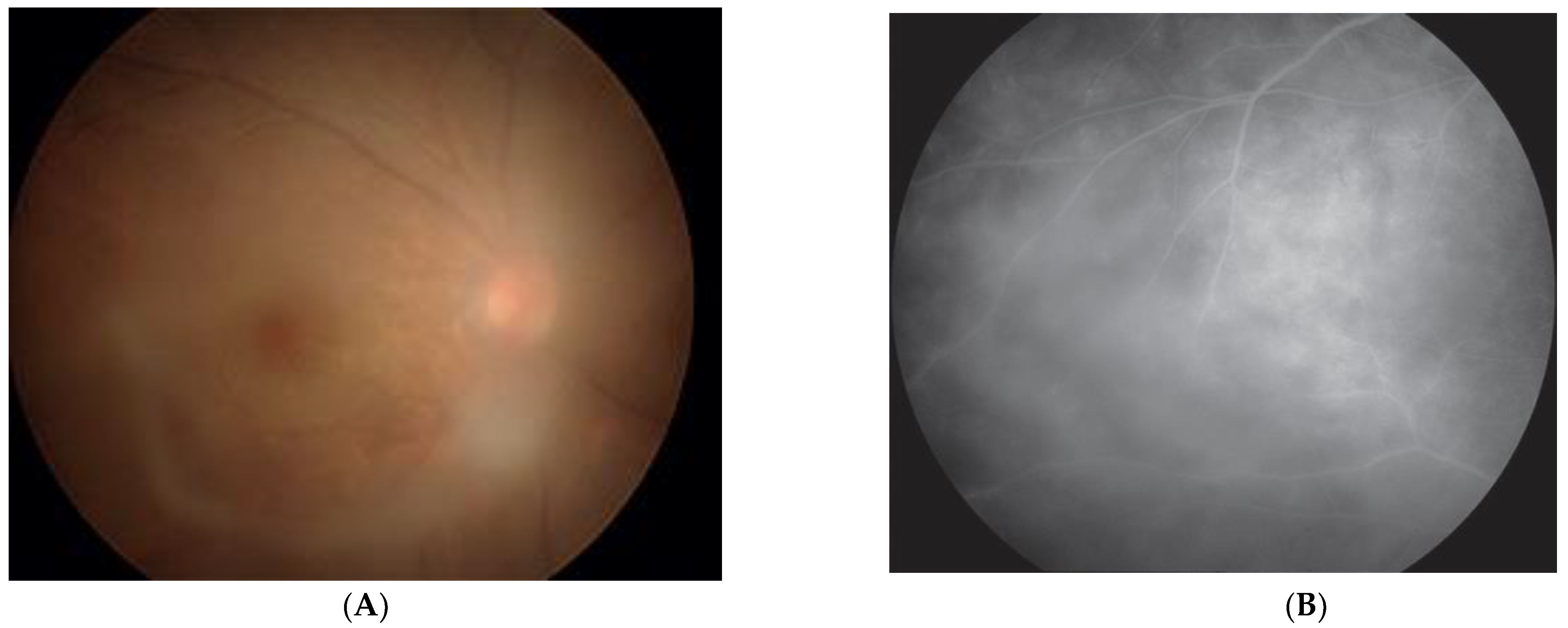 Viruses 14 00794 g002 Viruses 14 00794 g002