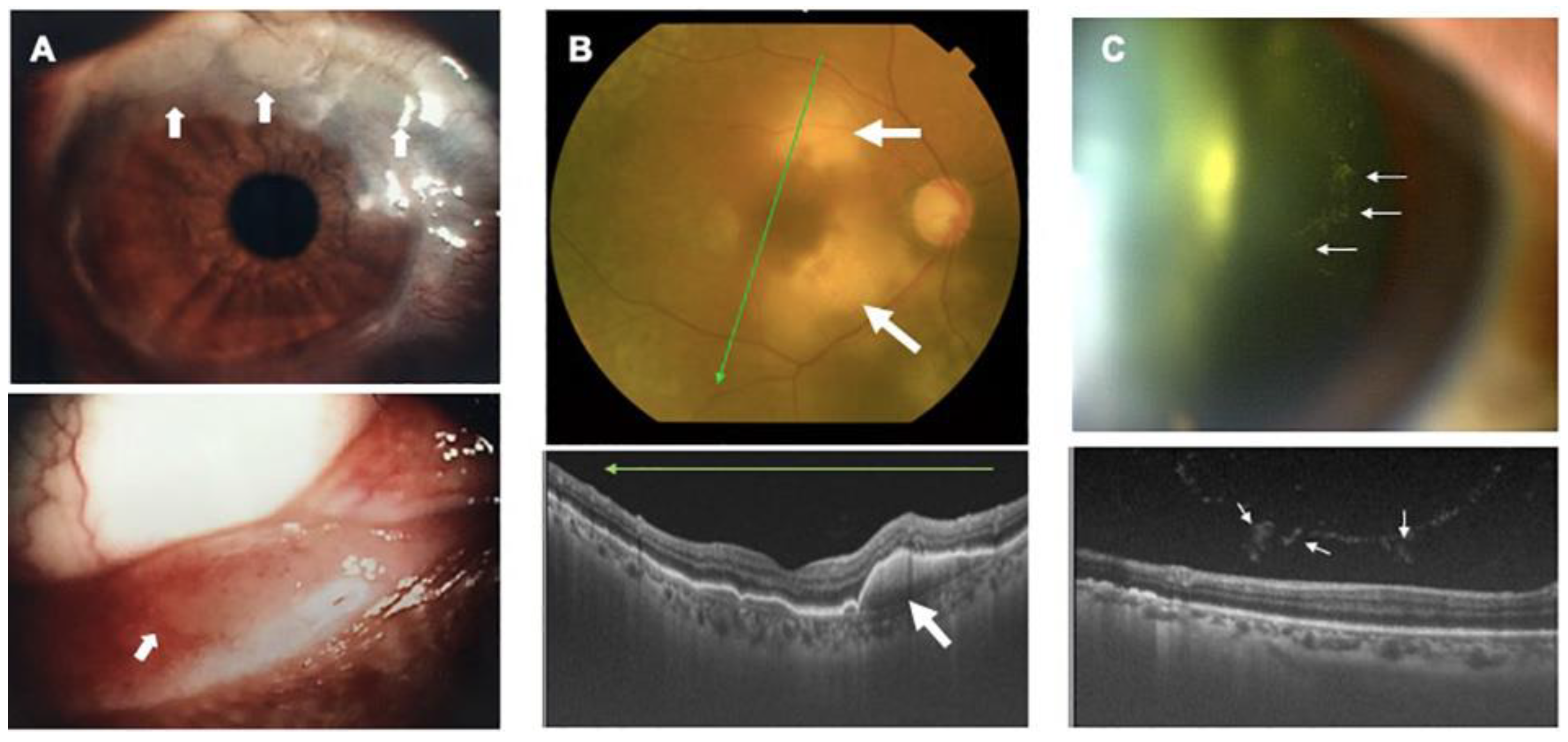 Viruses 14 00794 g003 Viruses 14 00794 g003