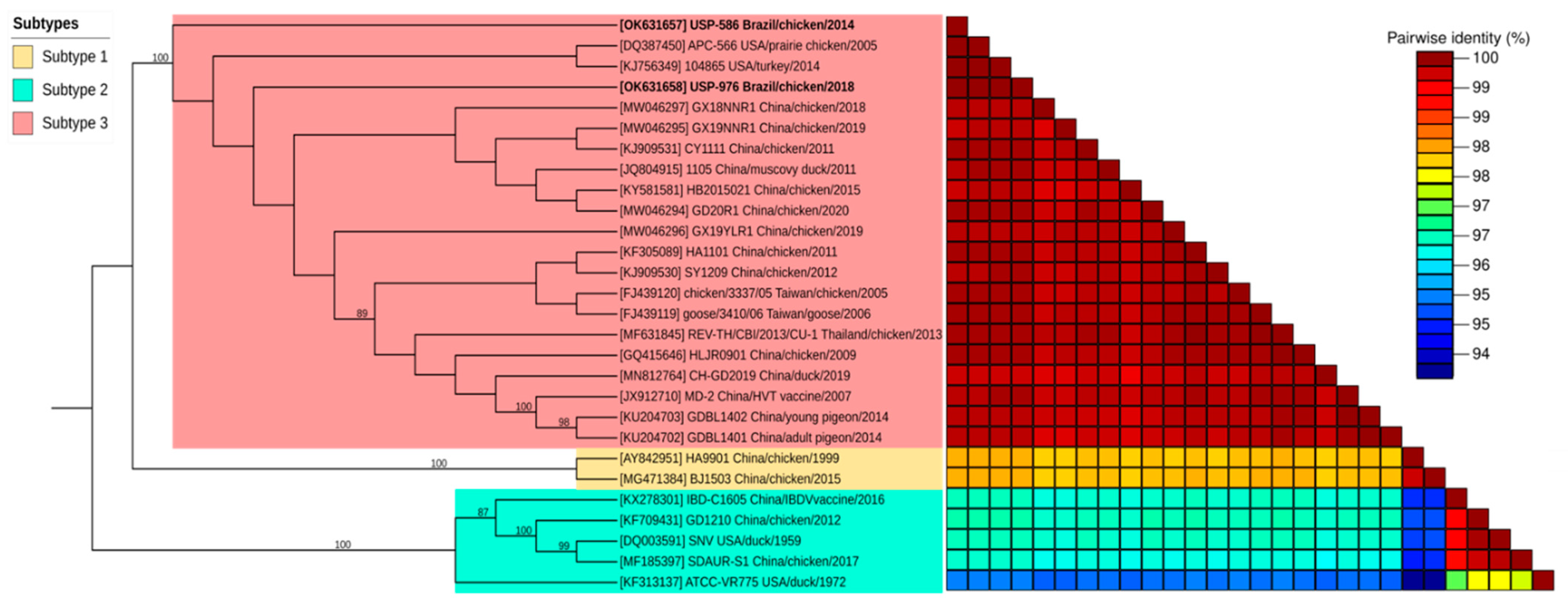 Viruses 14 00798 g001