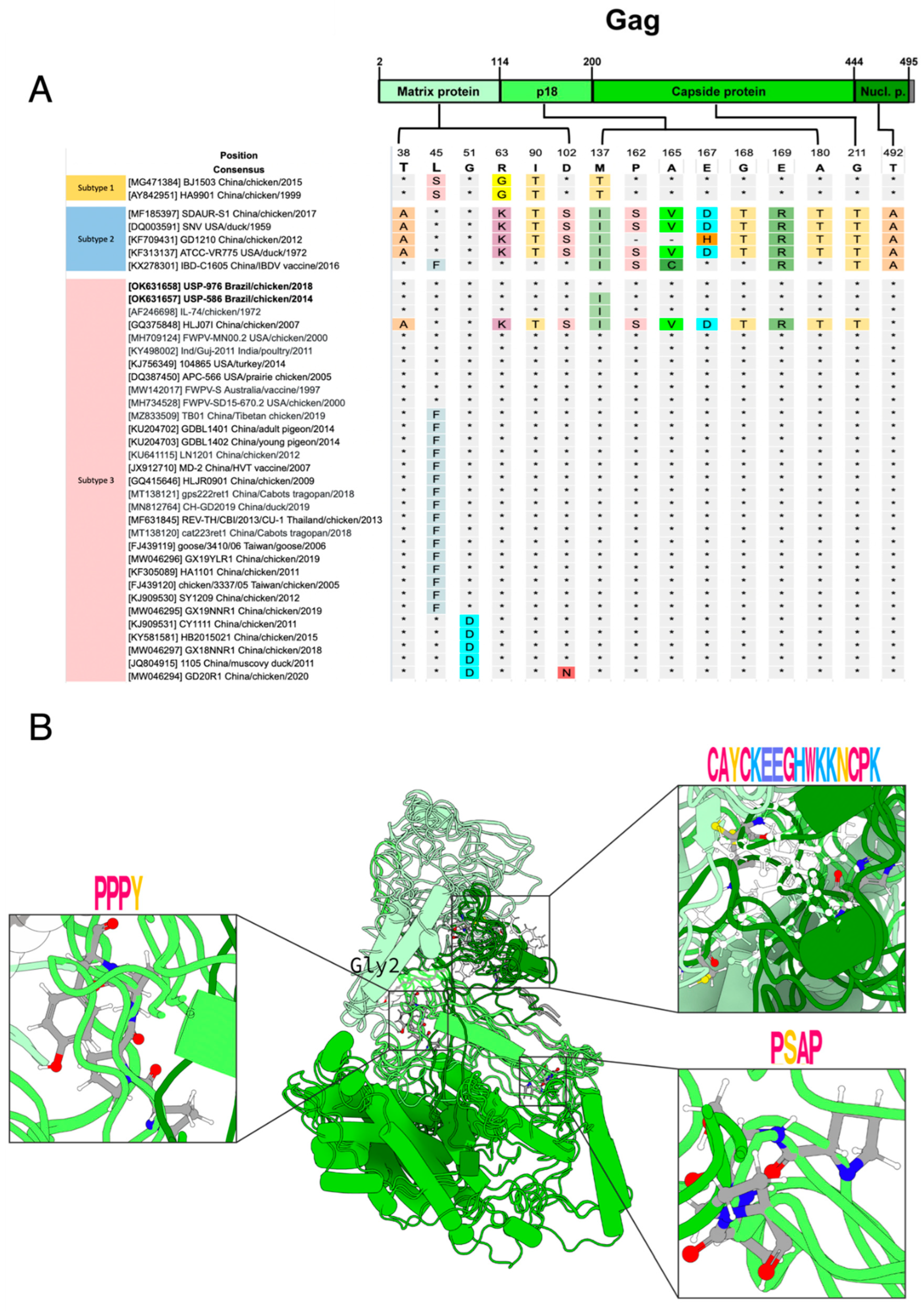 Viruses 14 00798 g002
