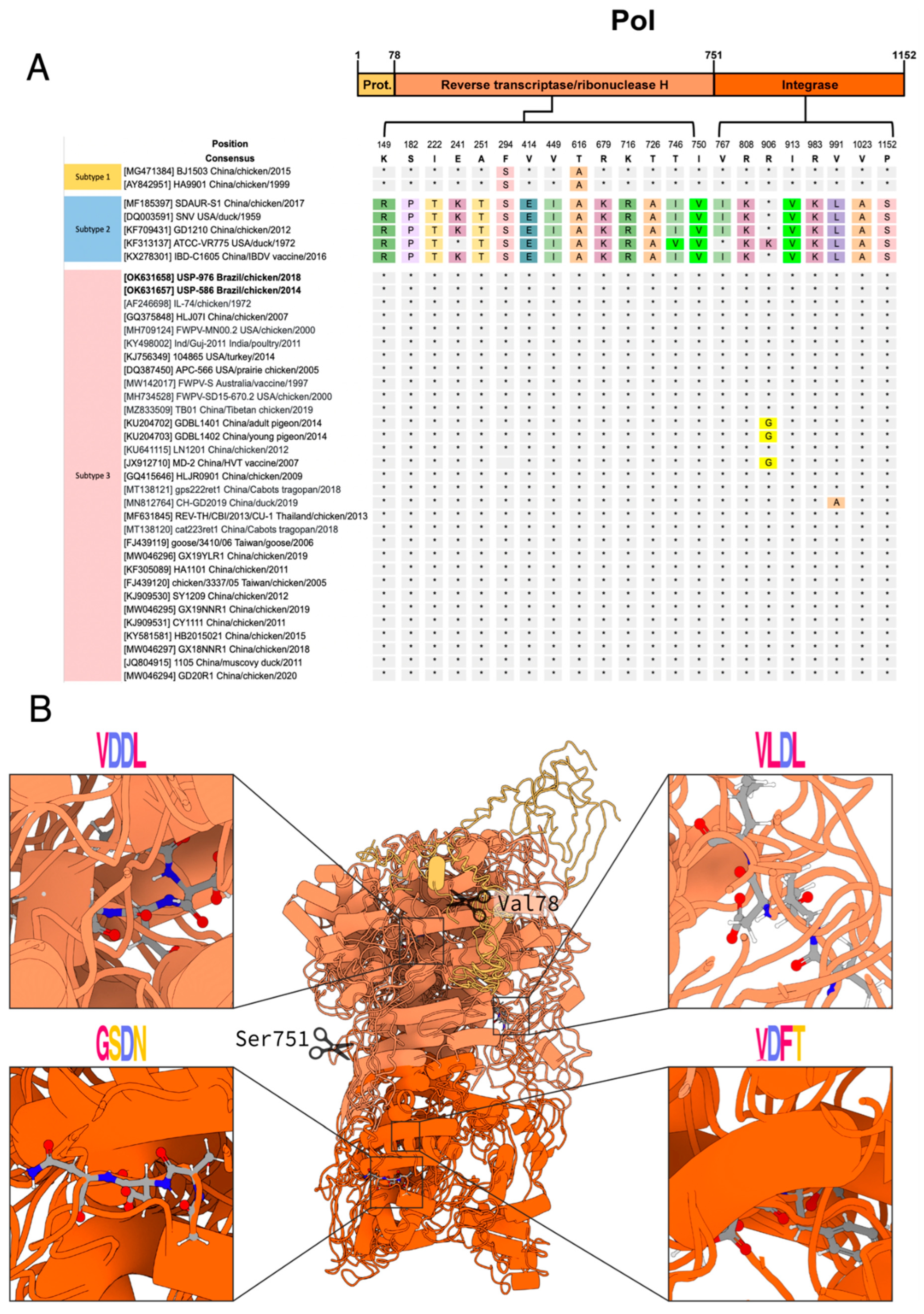 Viruses 14 00798 g003