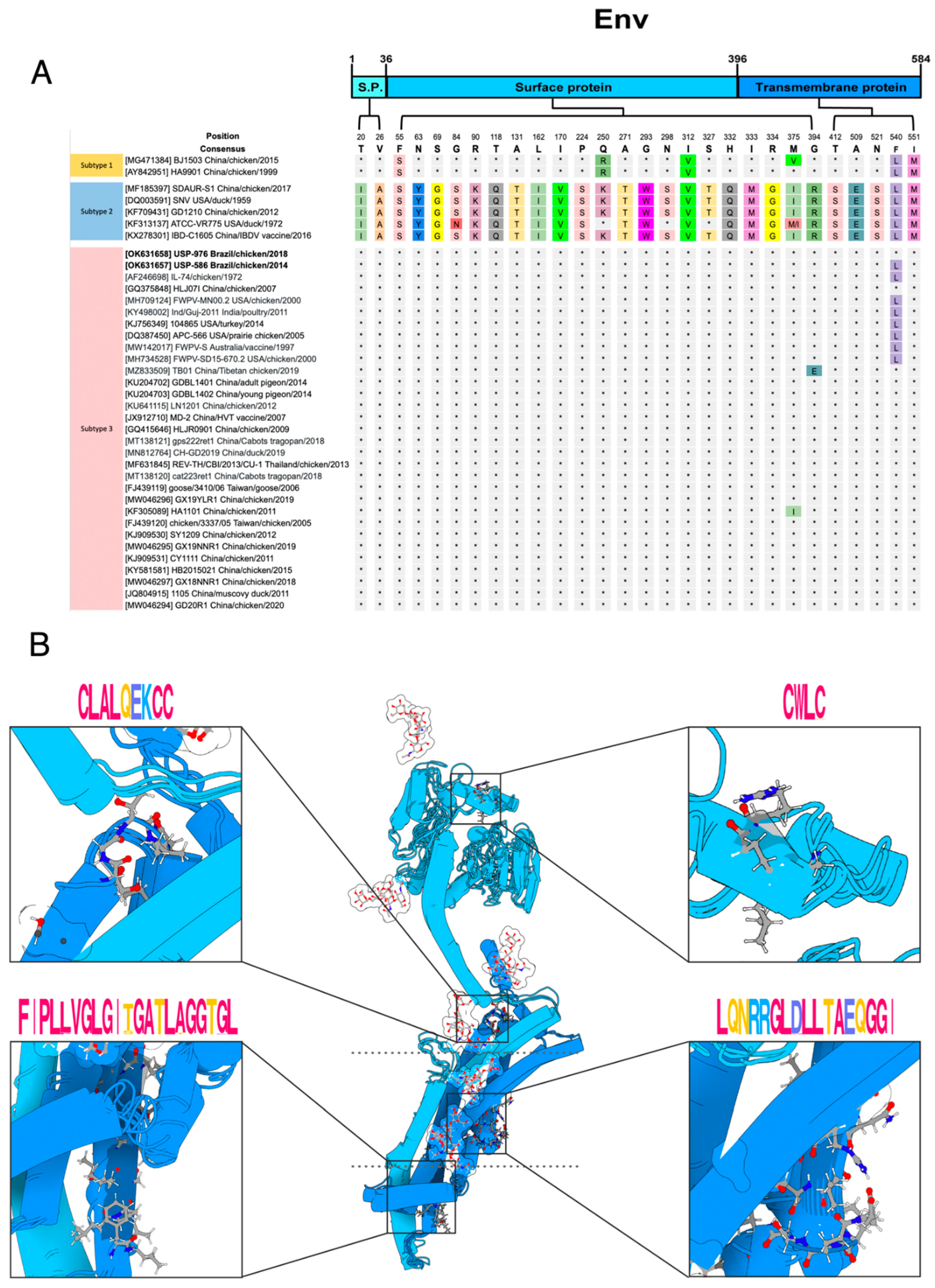 Viruses 14 00798 g004