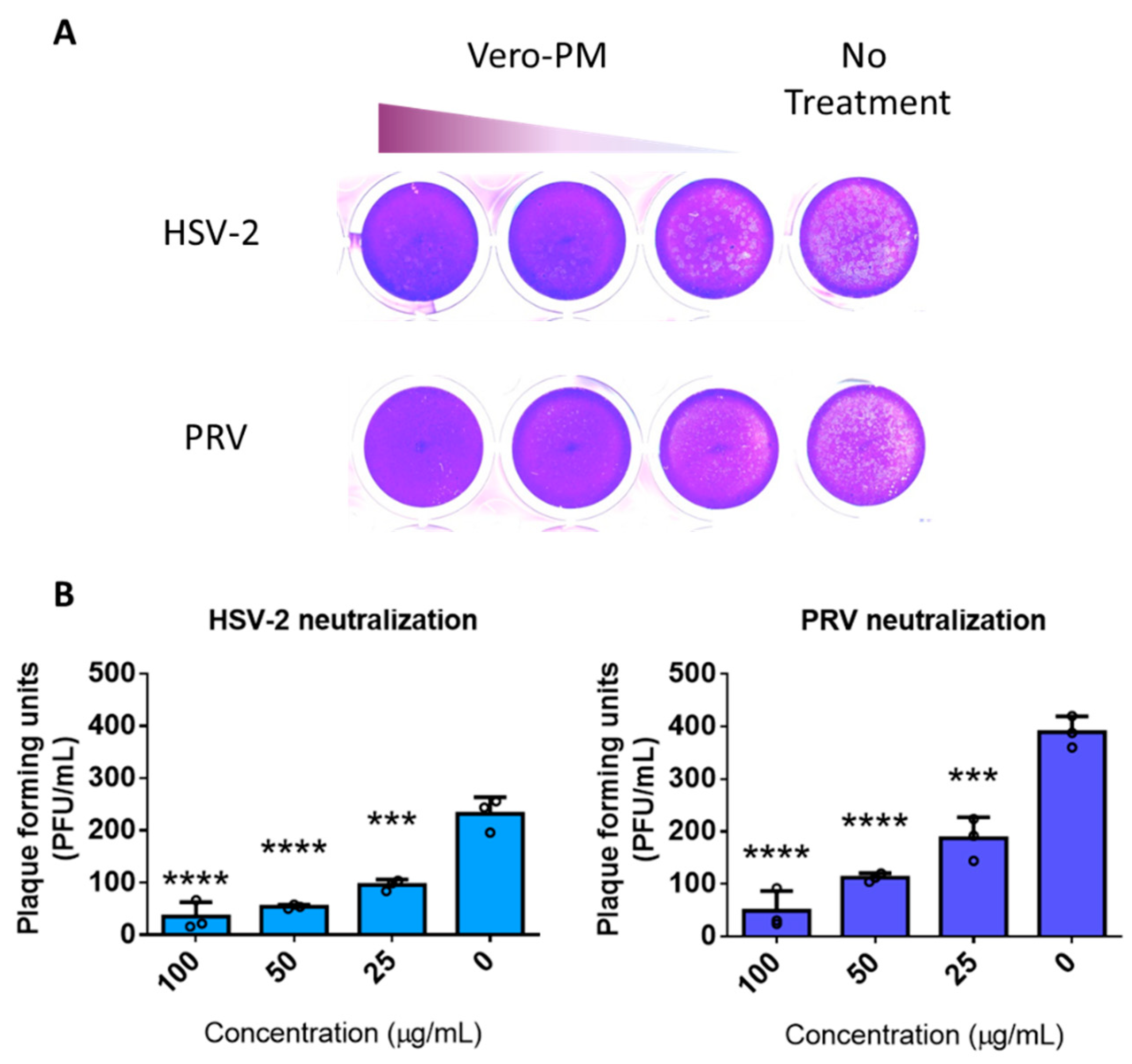 Viruses 14 00799 g005 550