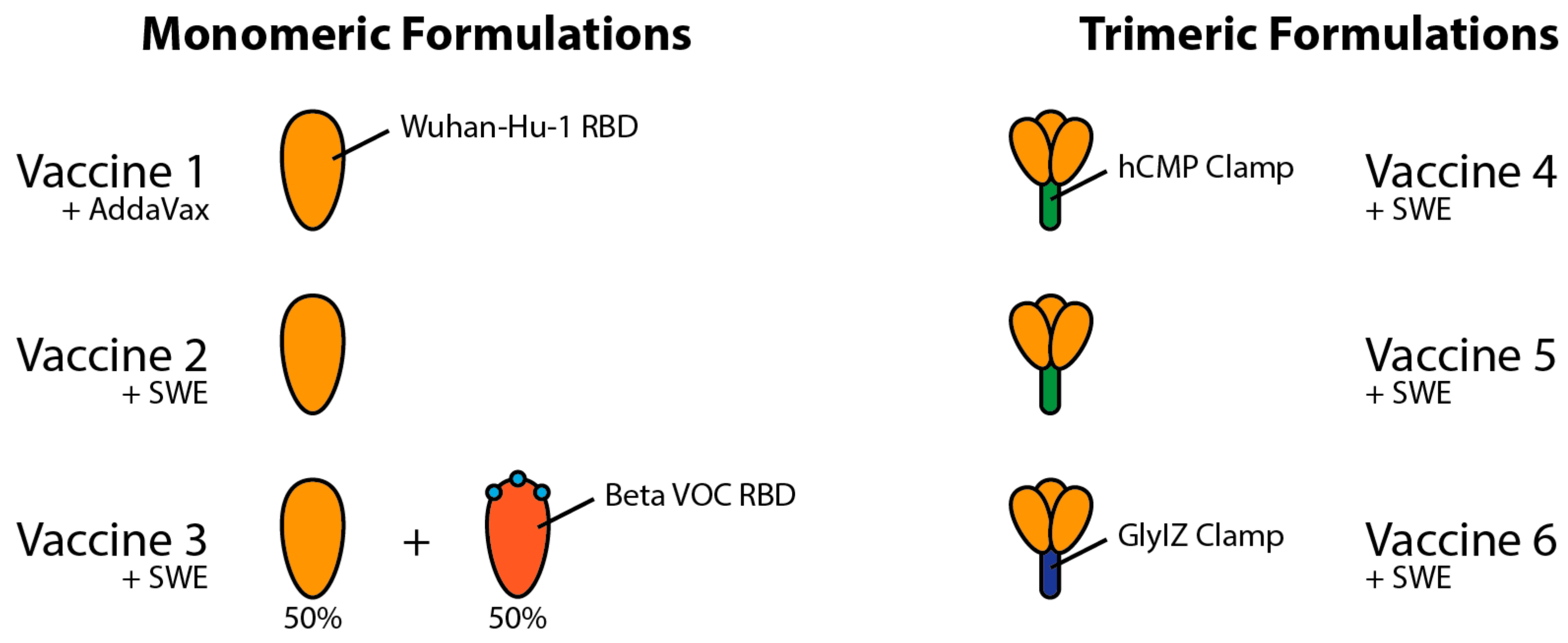 Viruses 14 00800 g002 550