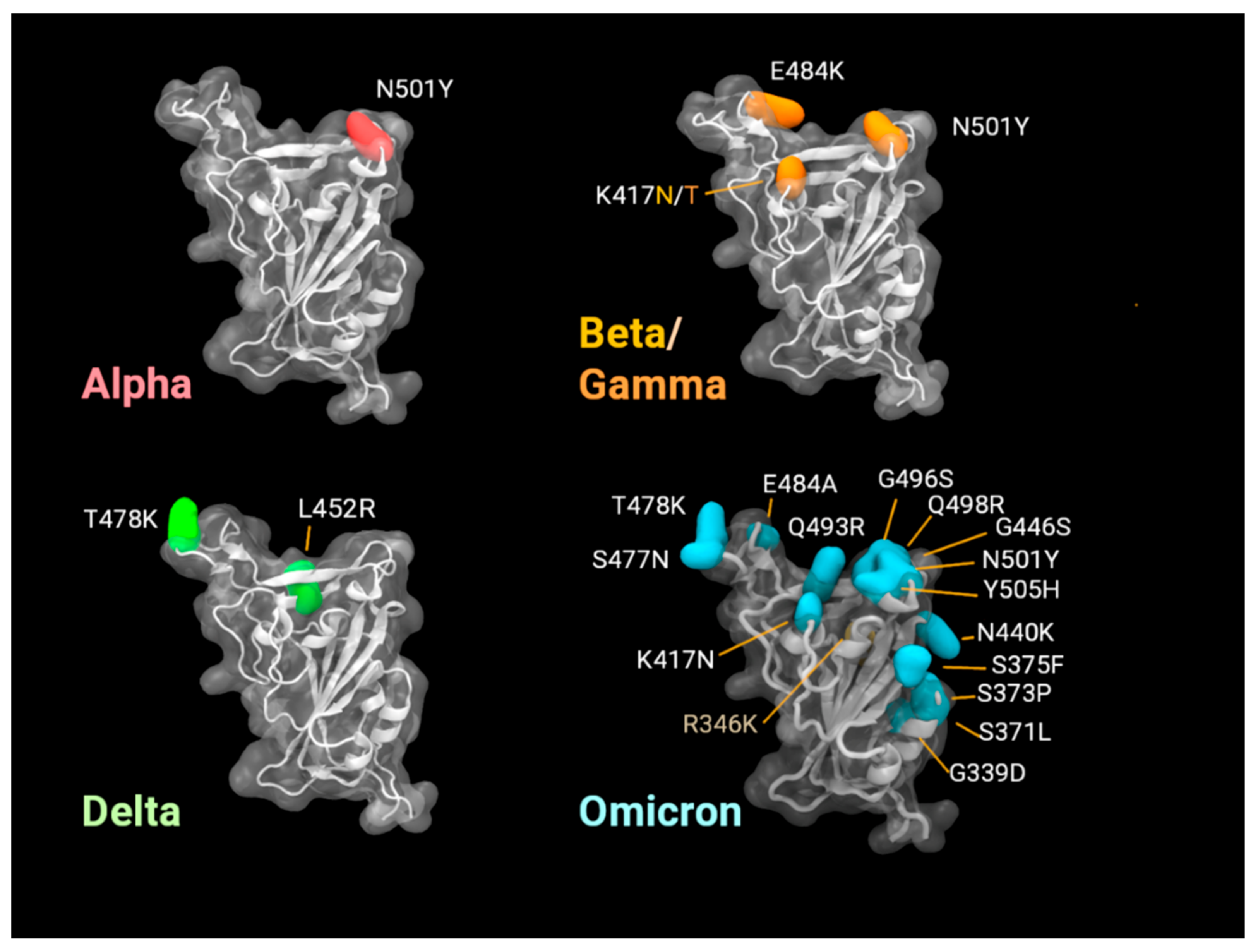 Viruses 14 00800 g004 550