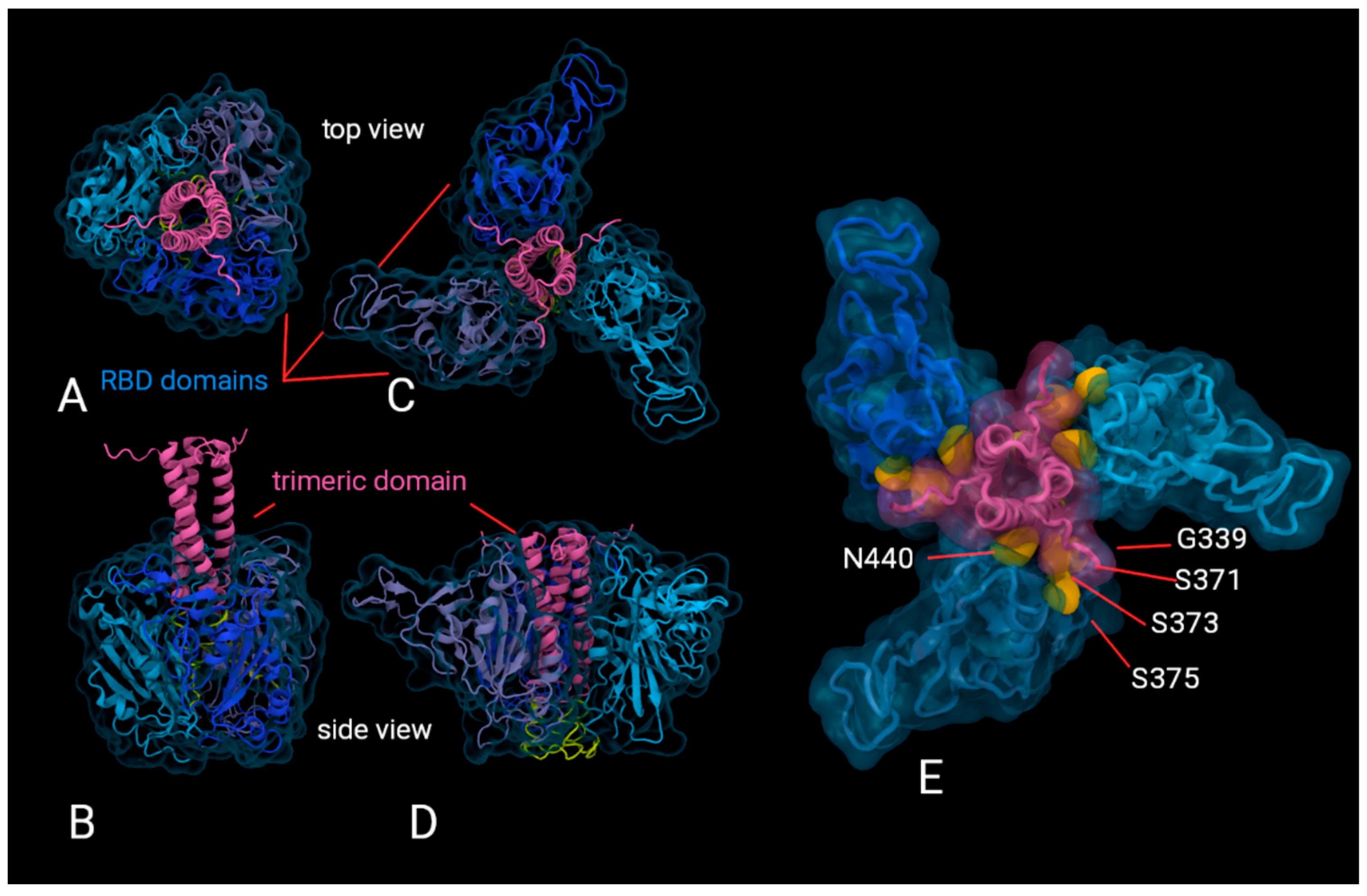 Viruses 14 00800 g005 550