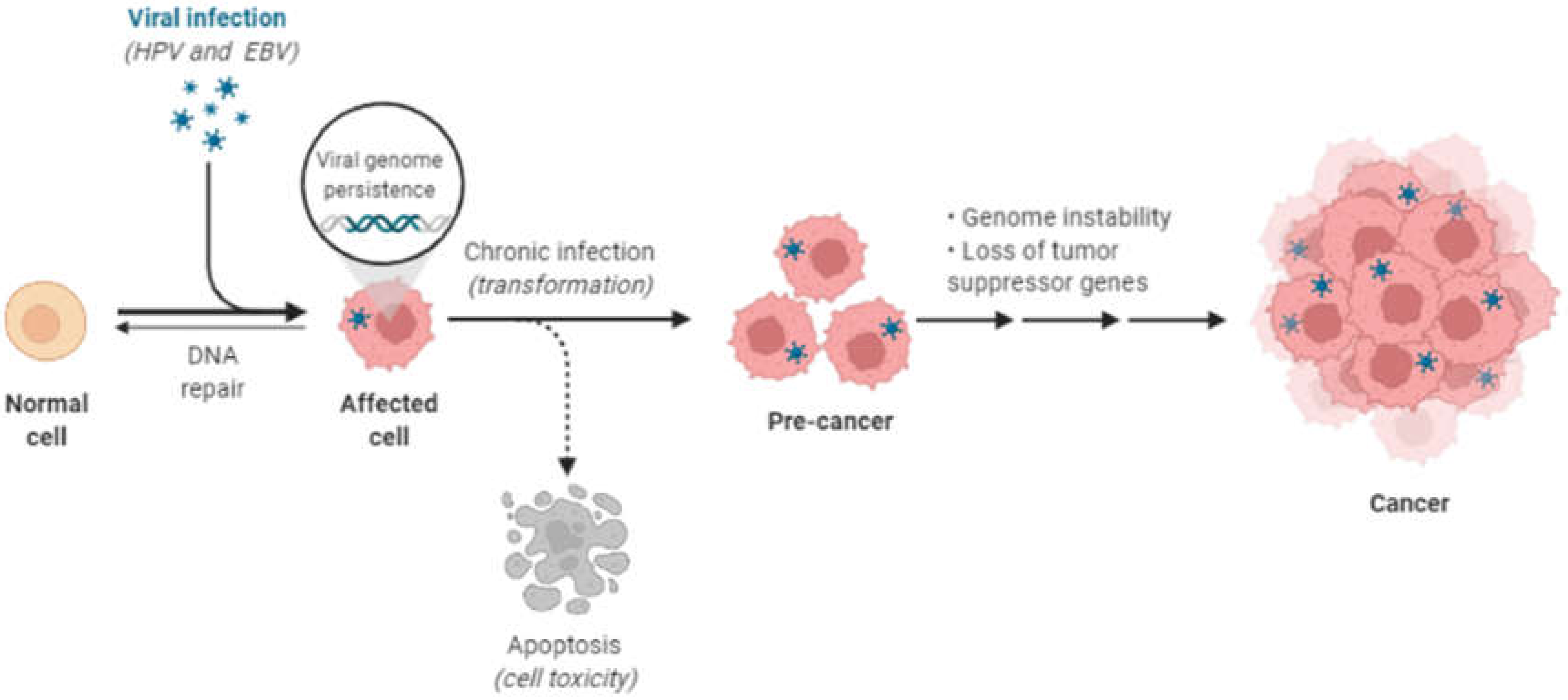 Viruses 14 00801 g003
