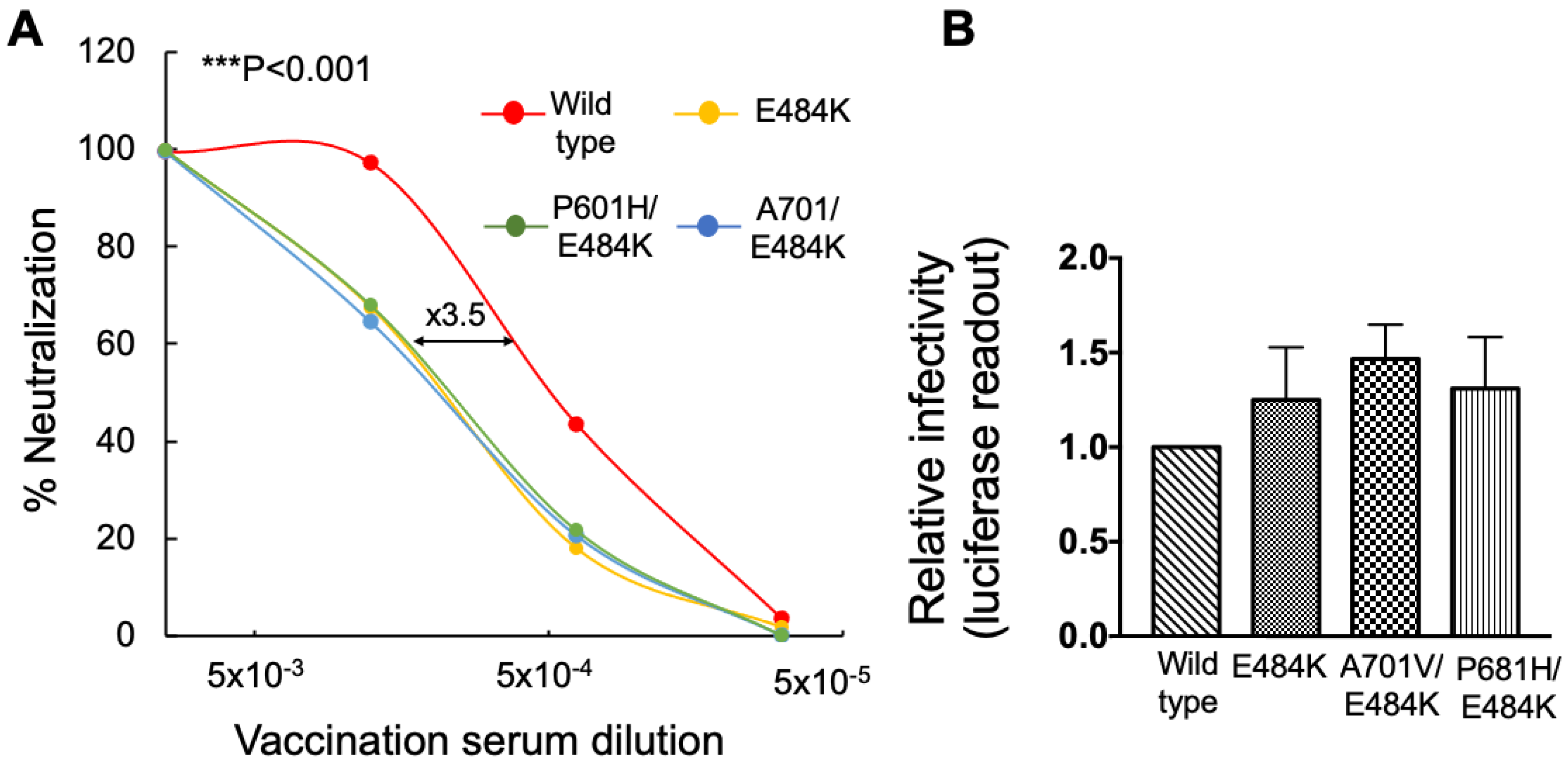 Viruses 14 00803 g003