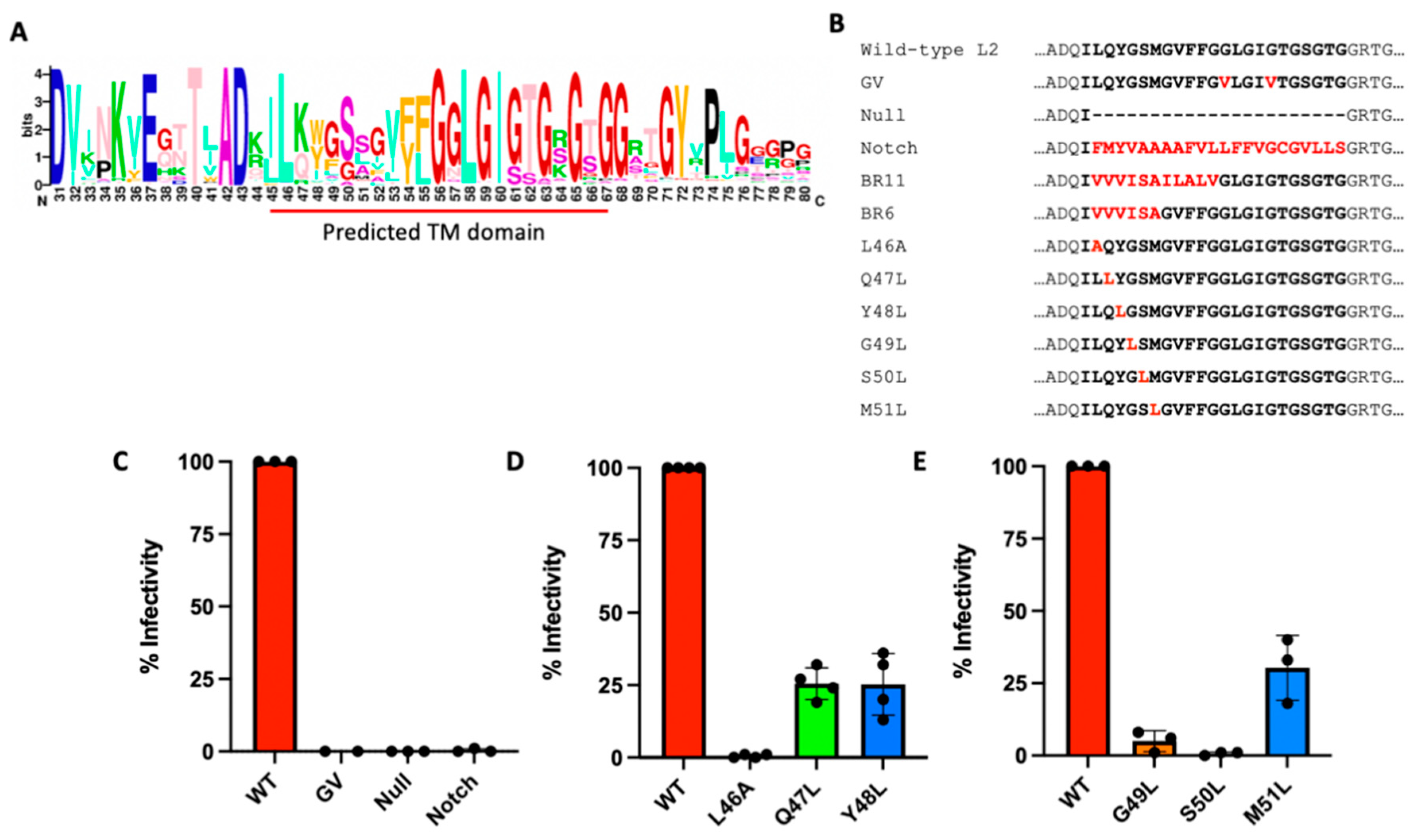 Viruses 14 00804 g003 550
